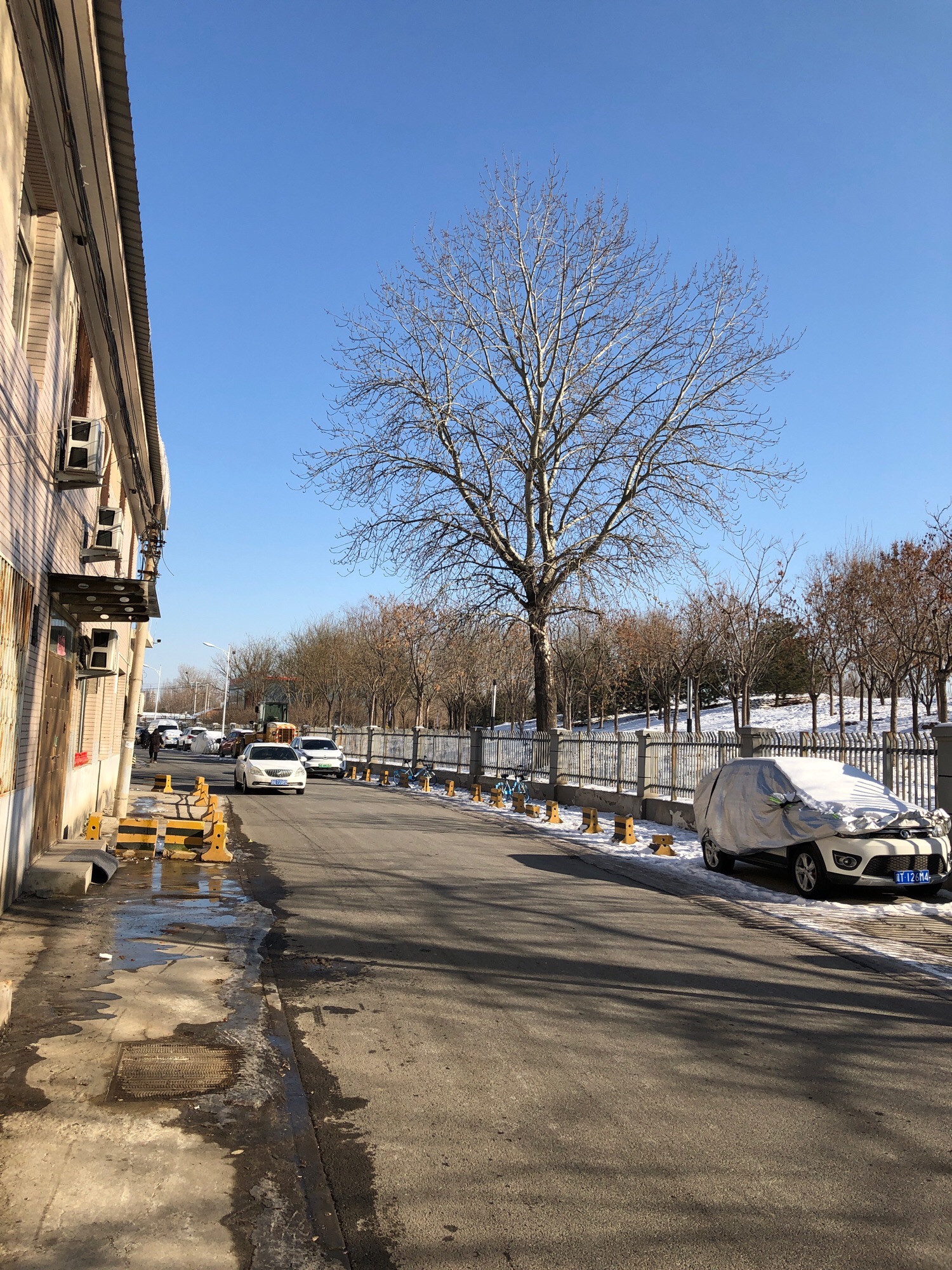 东高地公园旅行图片 1