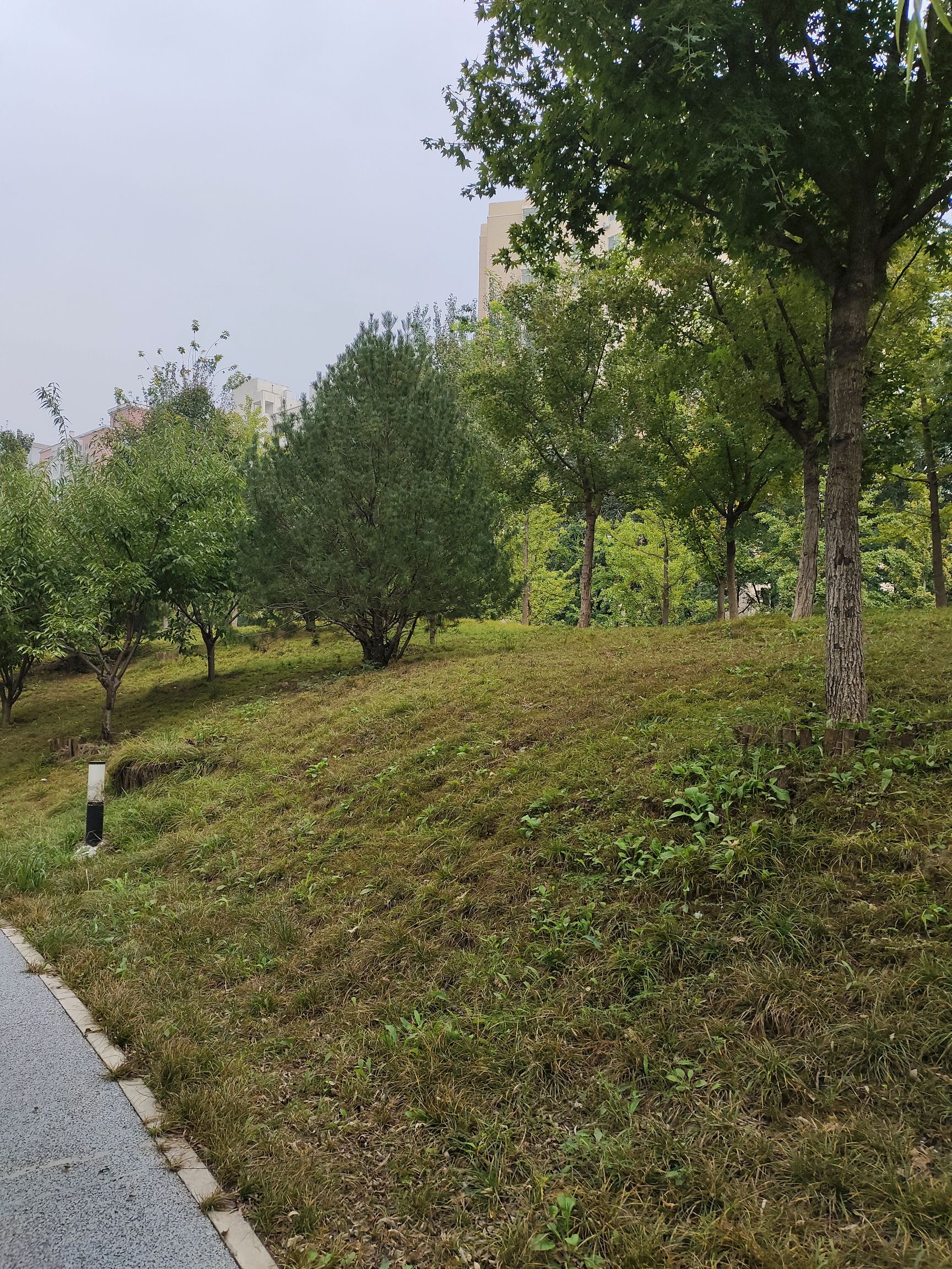 东高地公园旅行图片 3