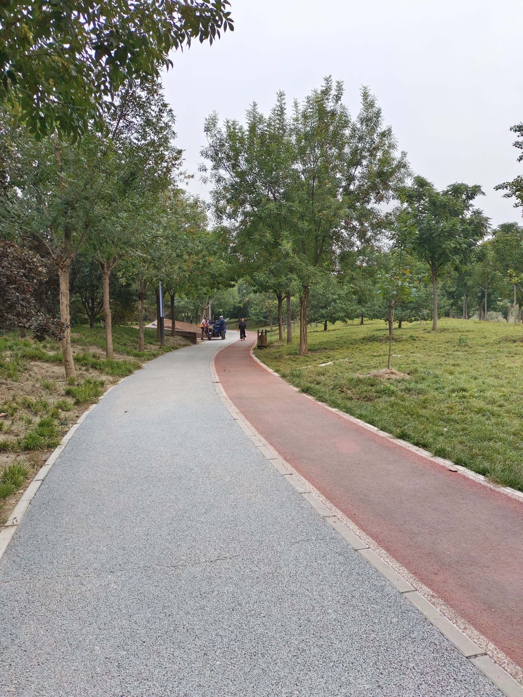 东高地公园旅行图片 2