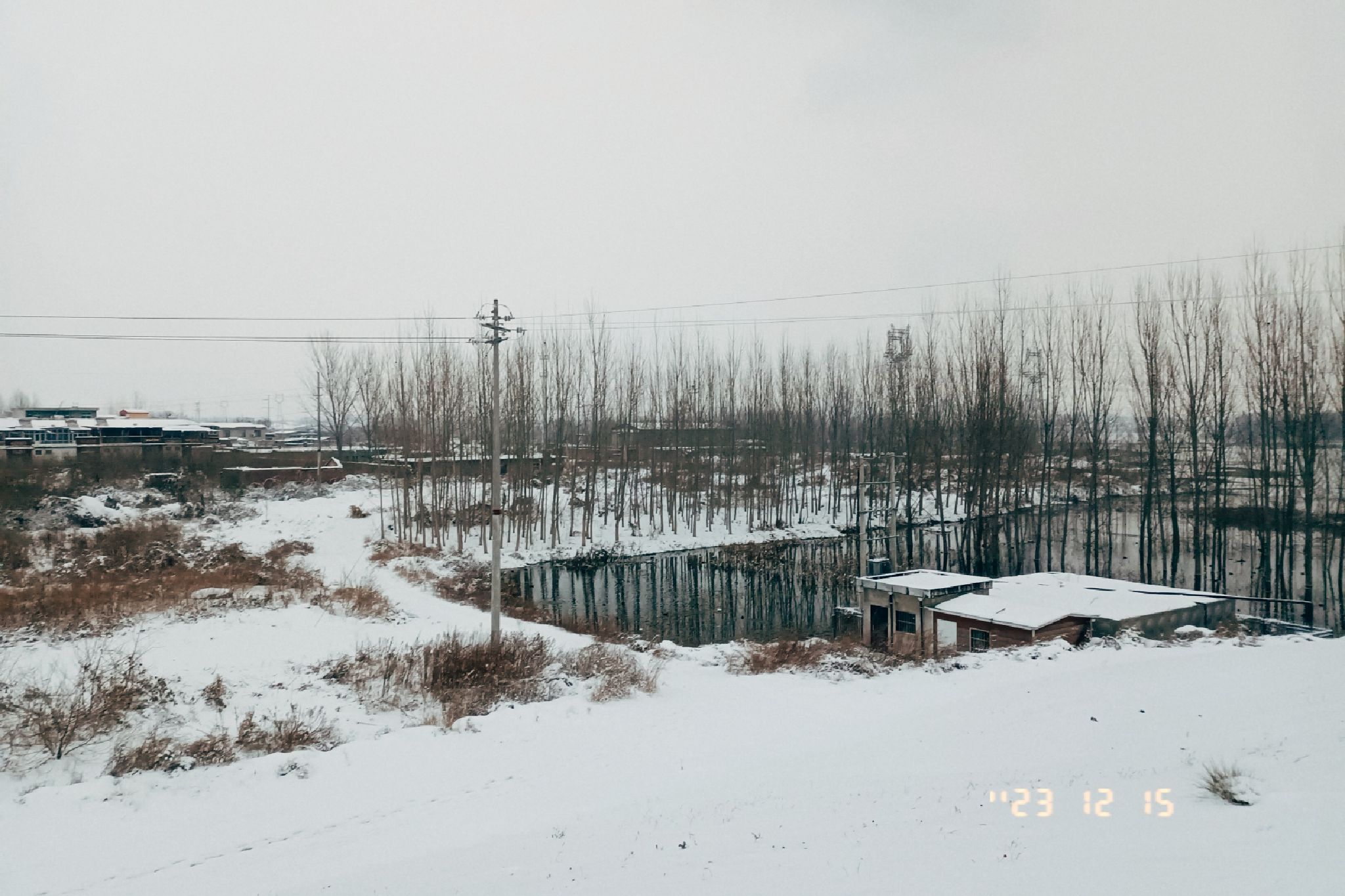 滨湖湿地公园旅行图片 2