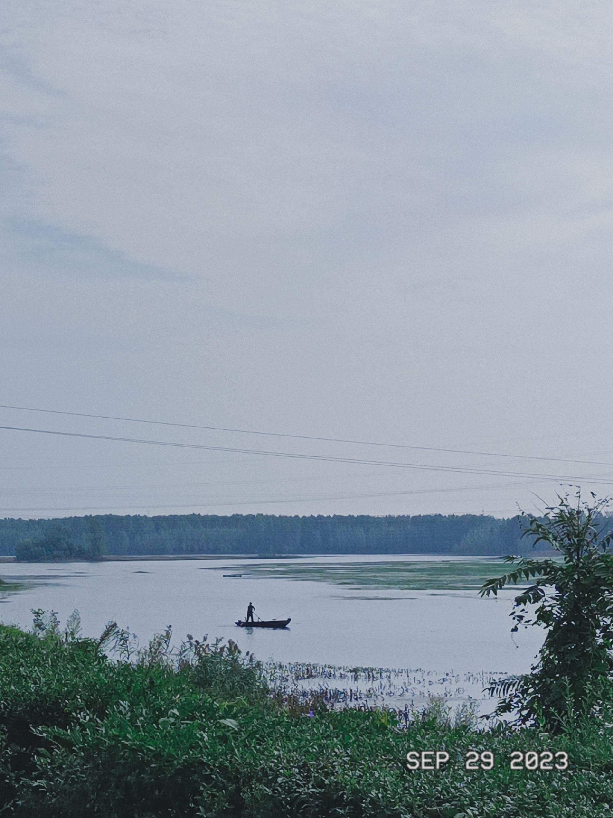 滨湖湿地公园旅行图片 1