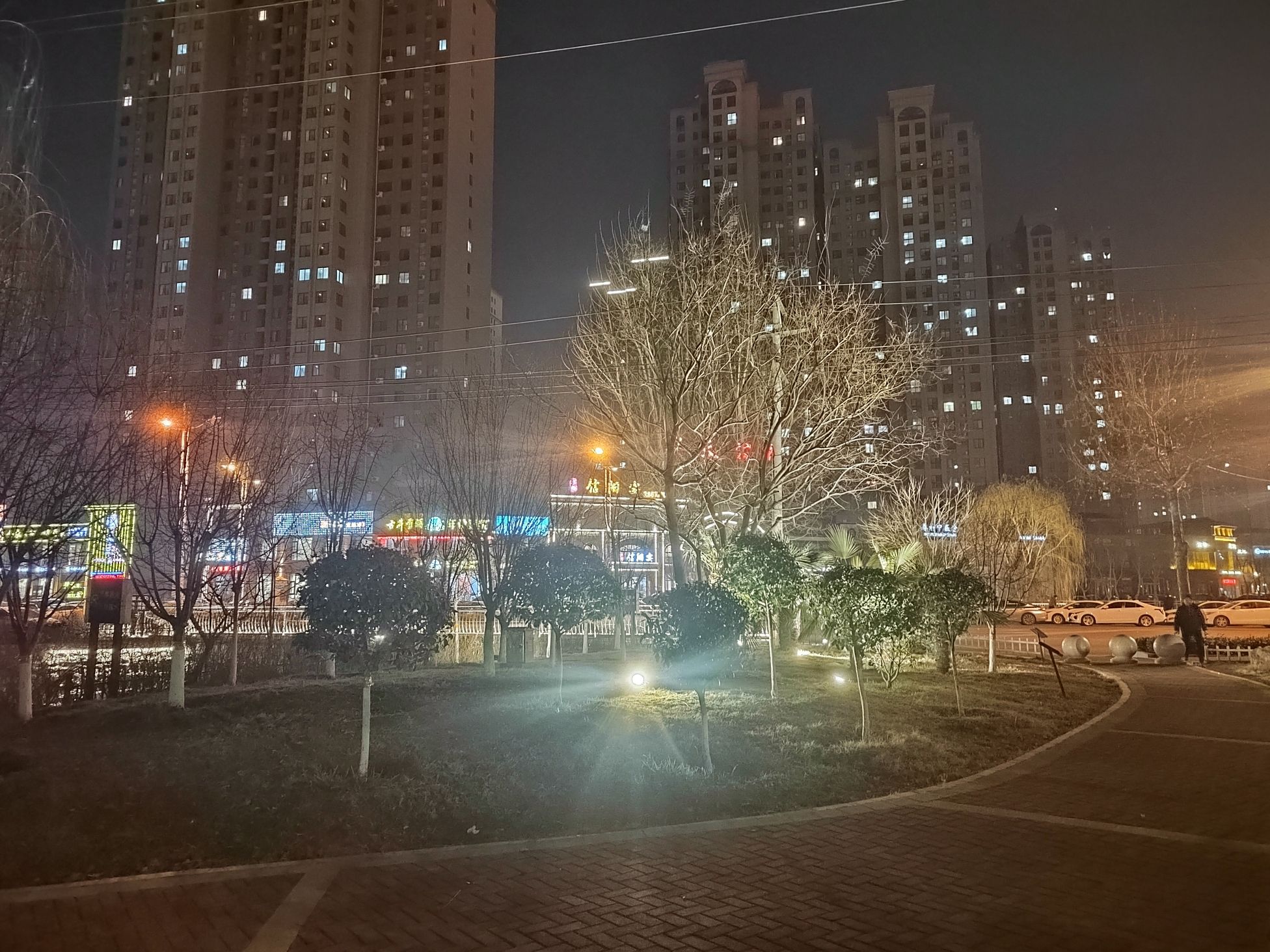 赵定河游园旅行图片 3