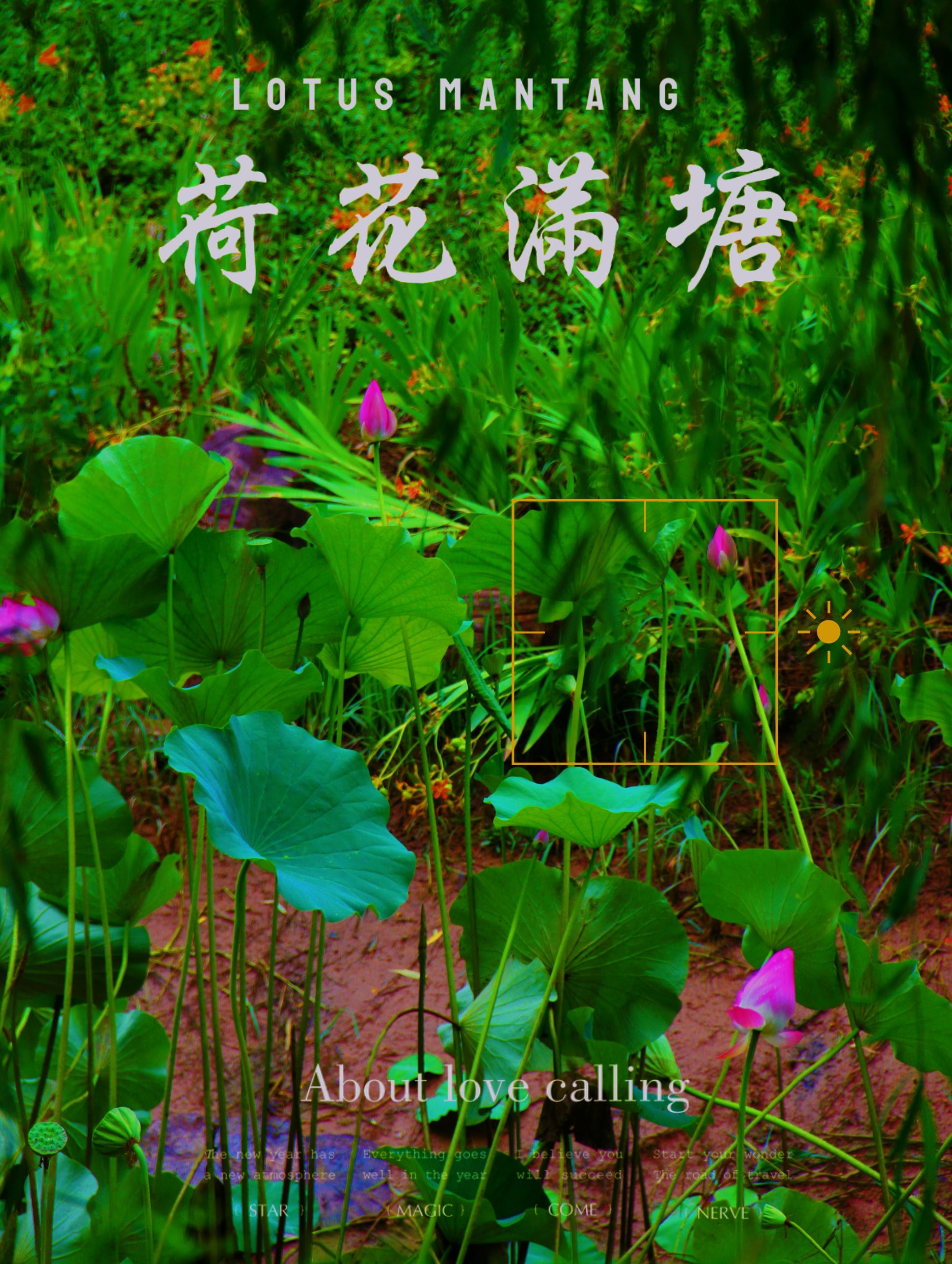 赵定河游园旅行图片 2