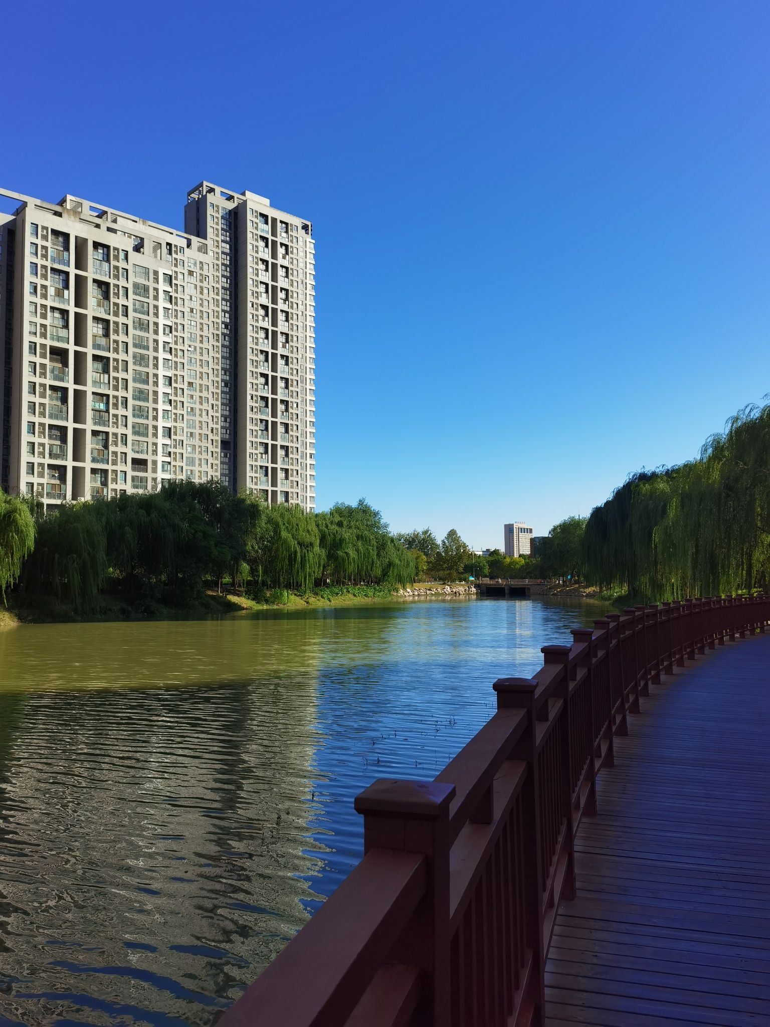 赵定河游园