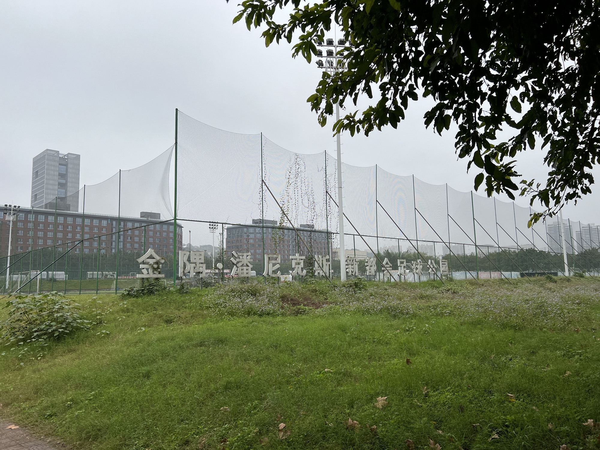 场地封面-茶园潘尼克斯足球场