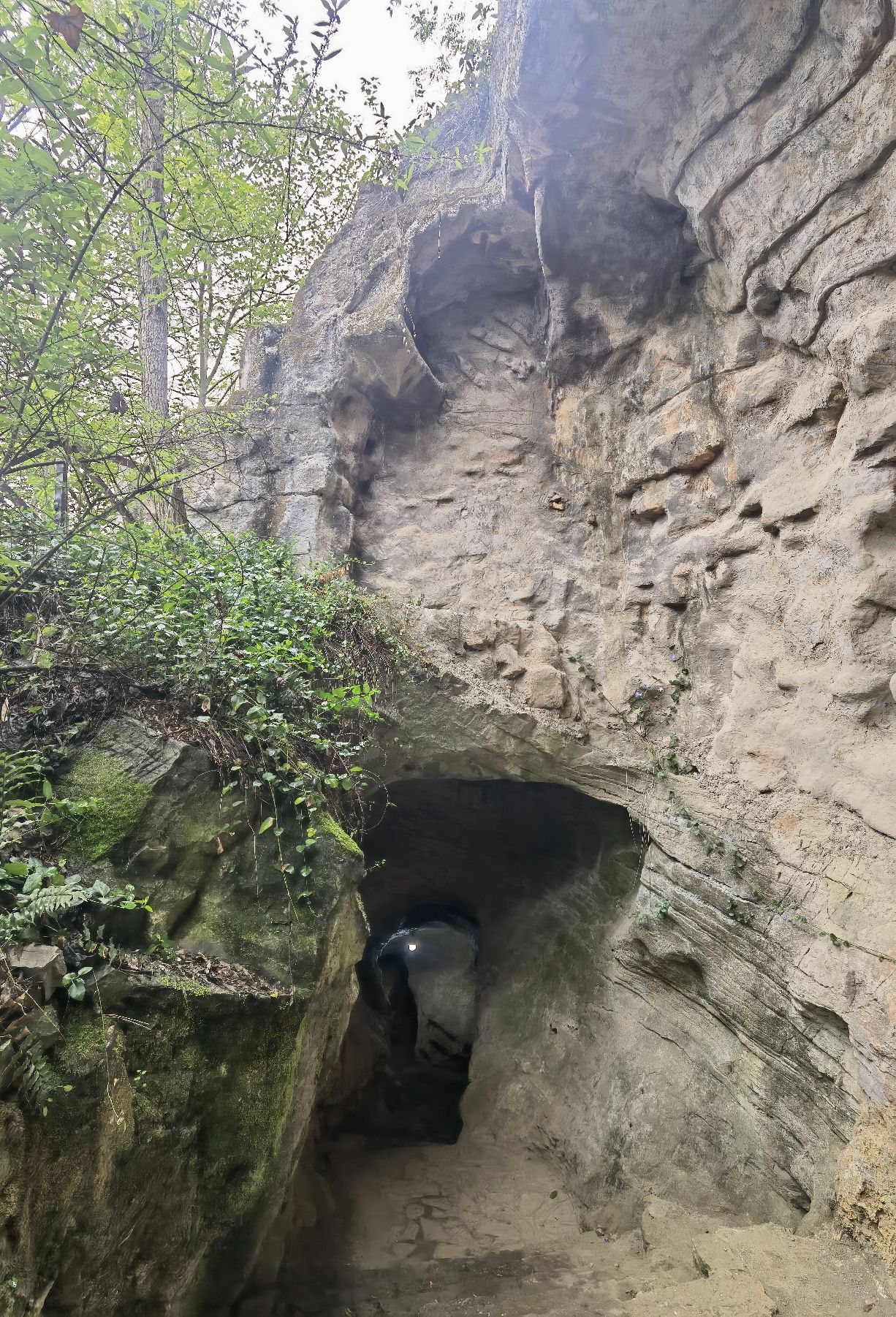 阳明洞·玩易窝旅行图片 2