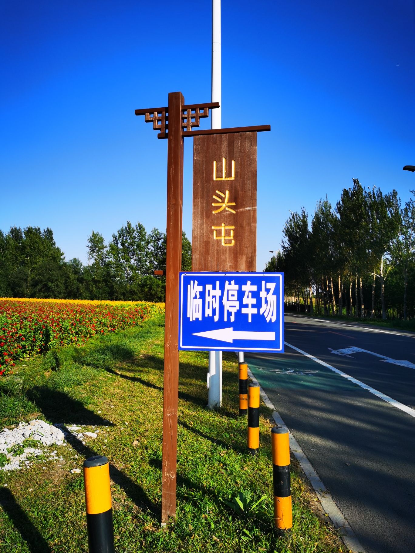 莲花山花海旅行图片 1