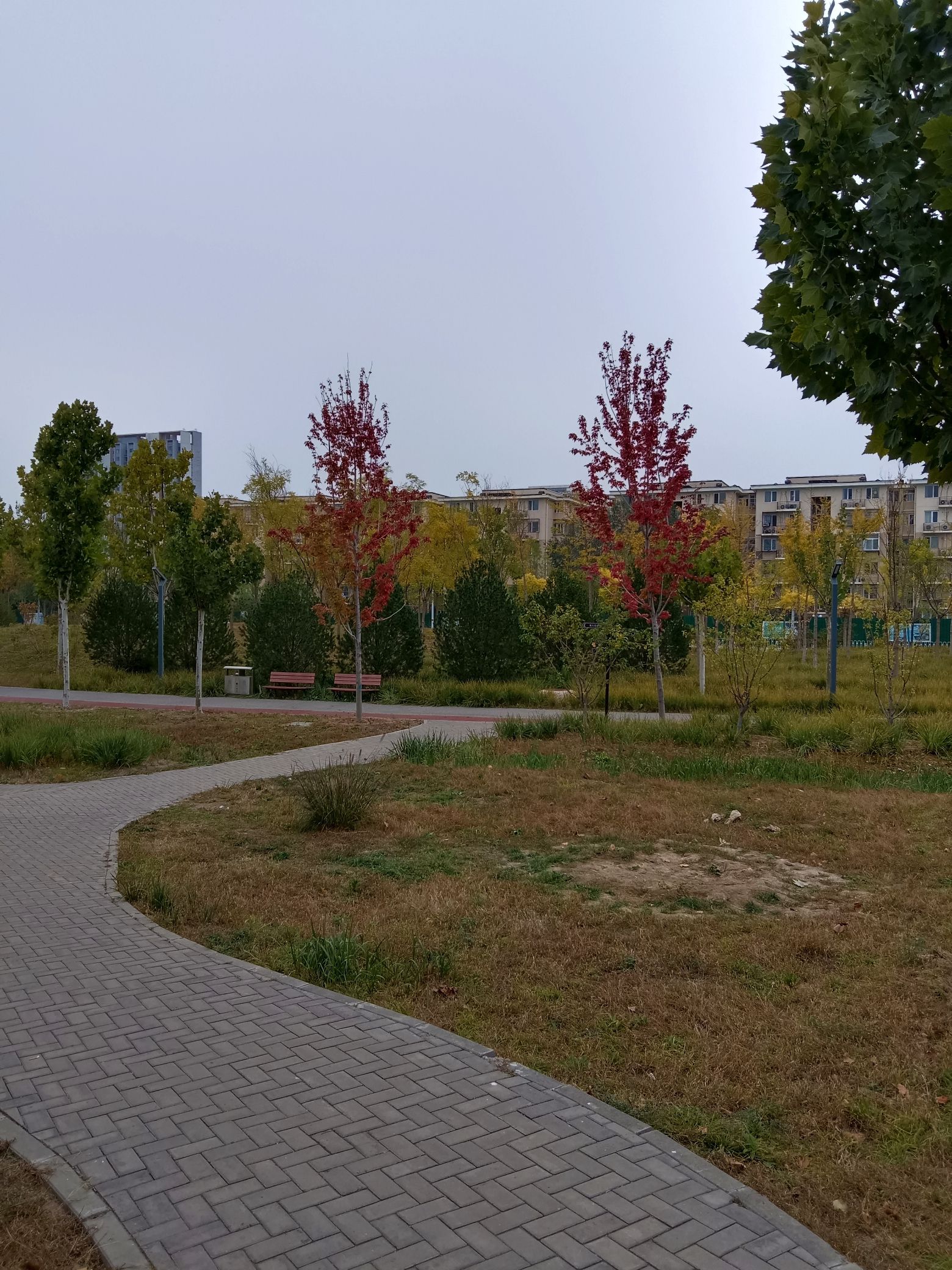 元福公园旅行图片 1
