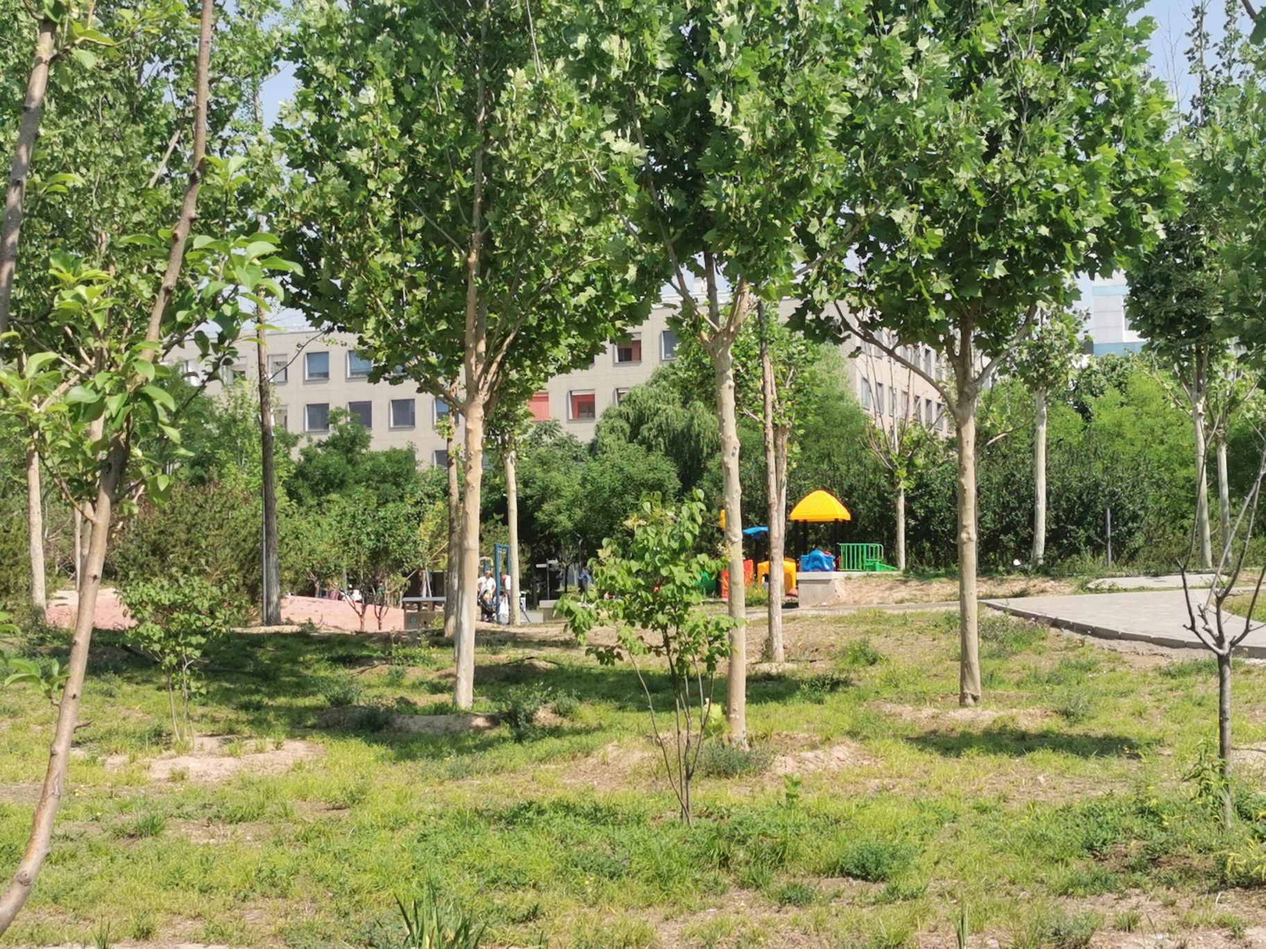 元福公园旅行图片 2