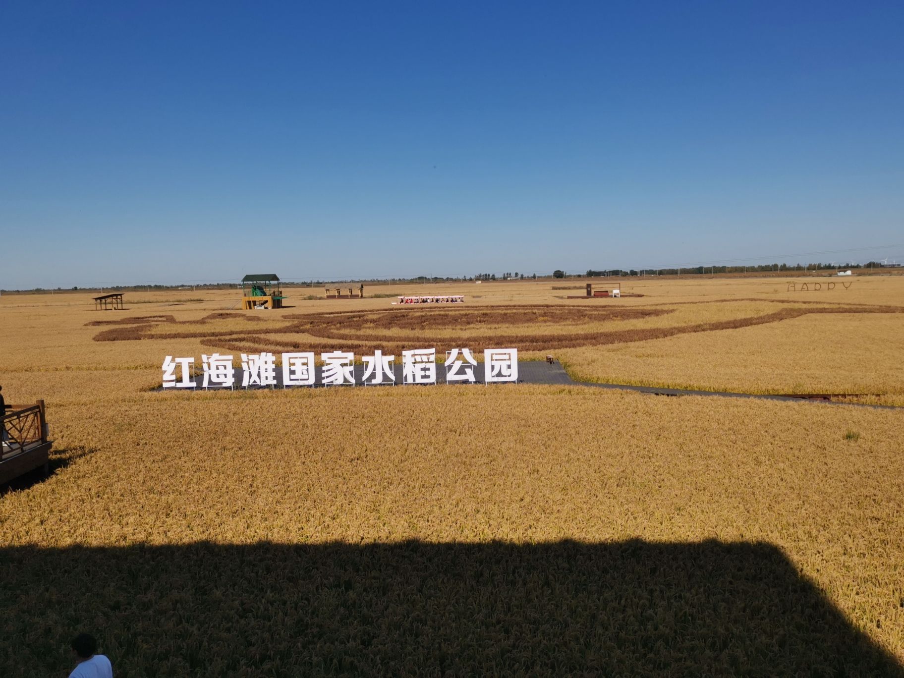 苇海湿地景区旅行图片 1