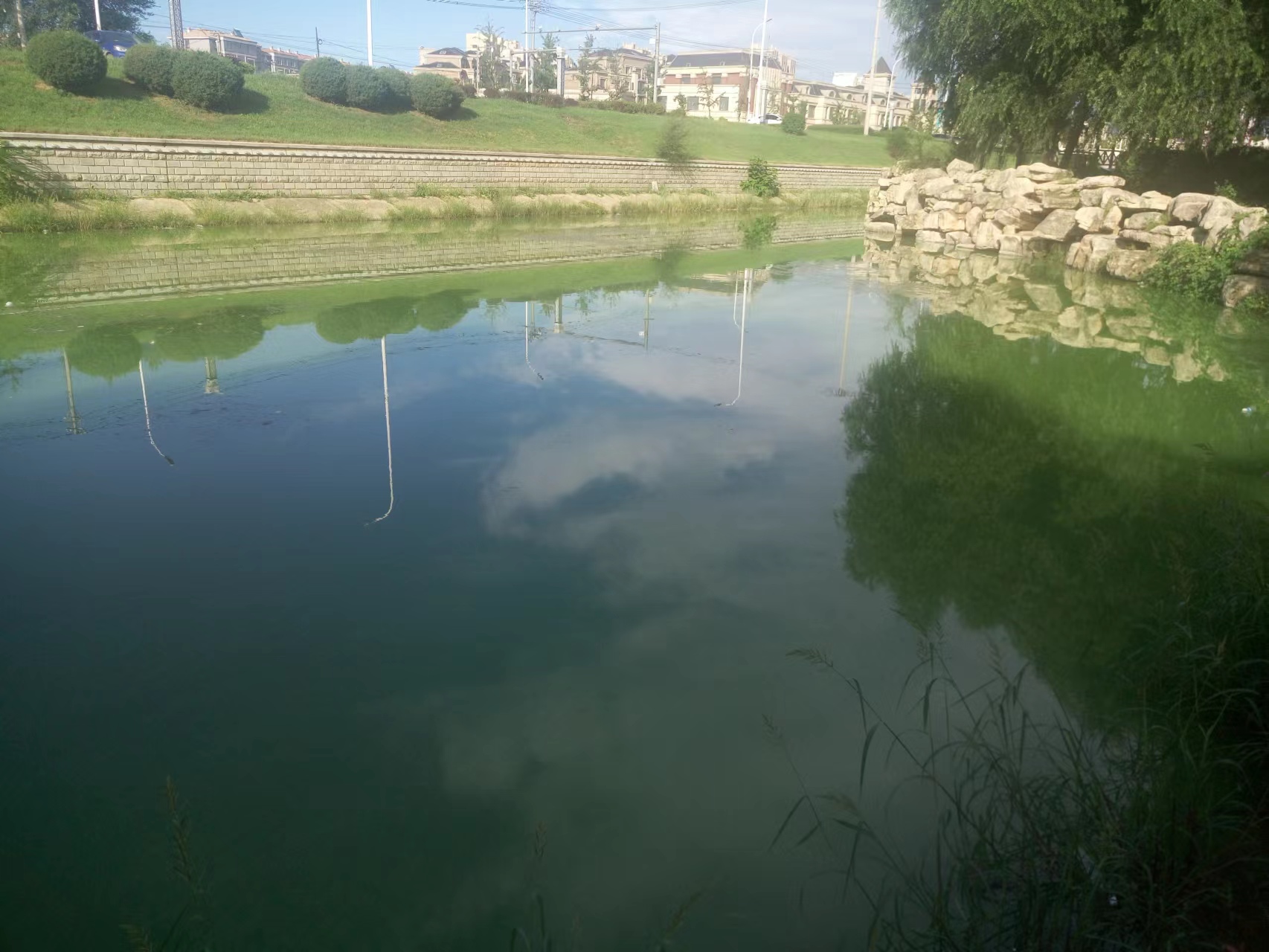 熊岳南大河公园旅行图片 1