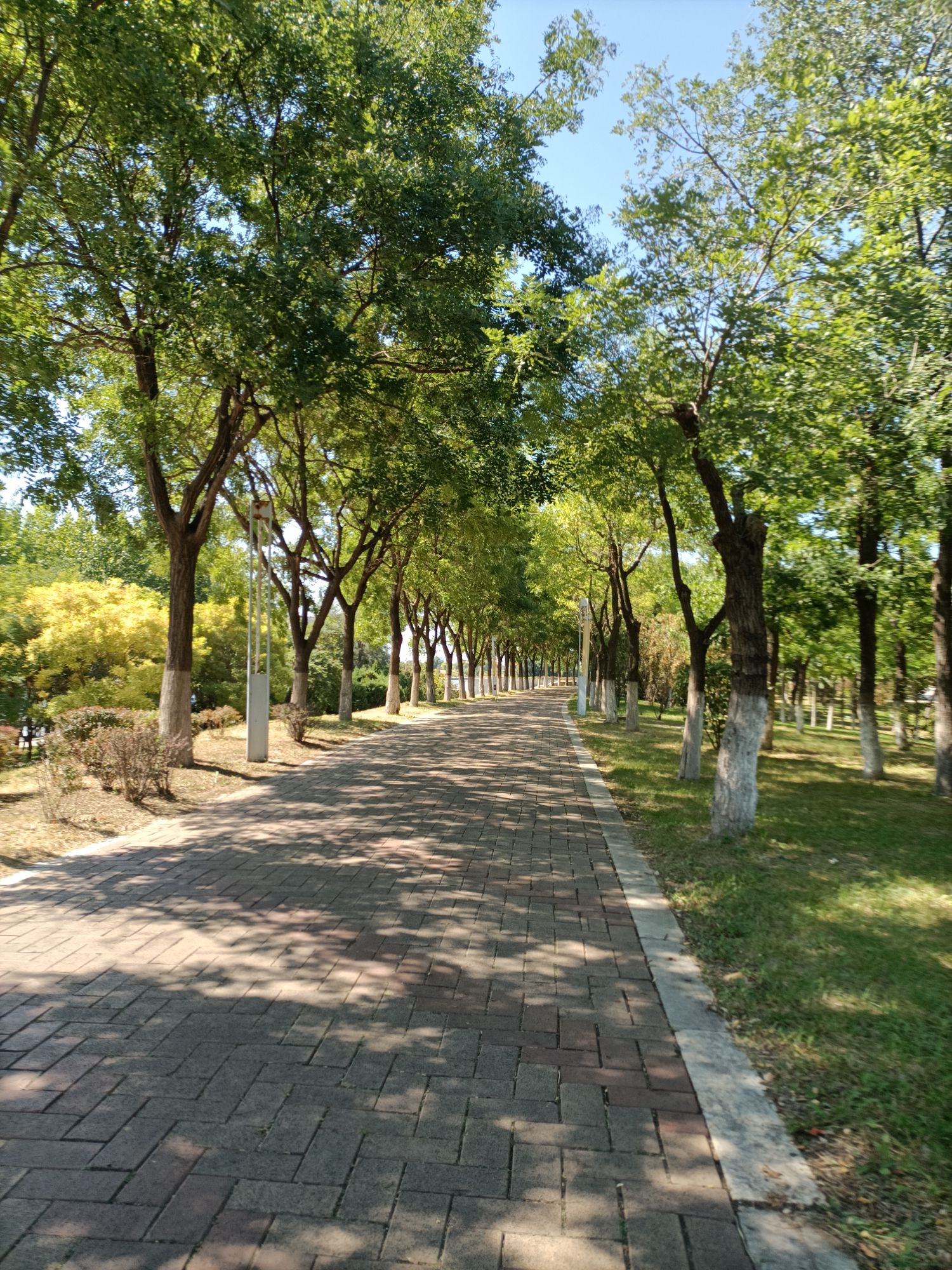 熊岳南大河公园