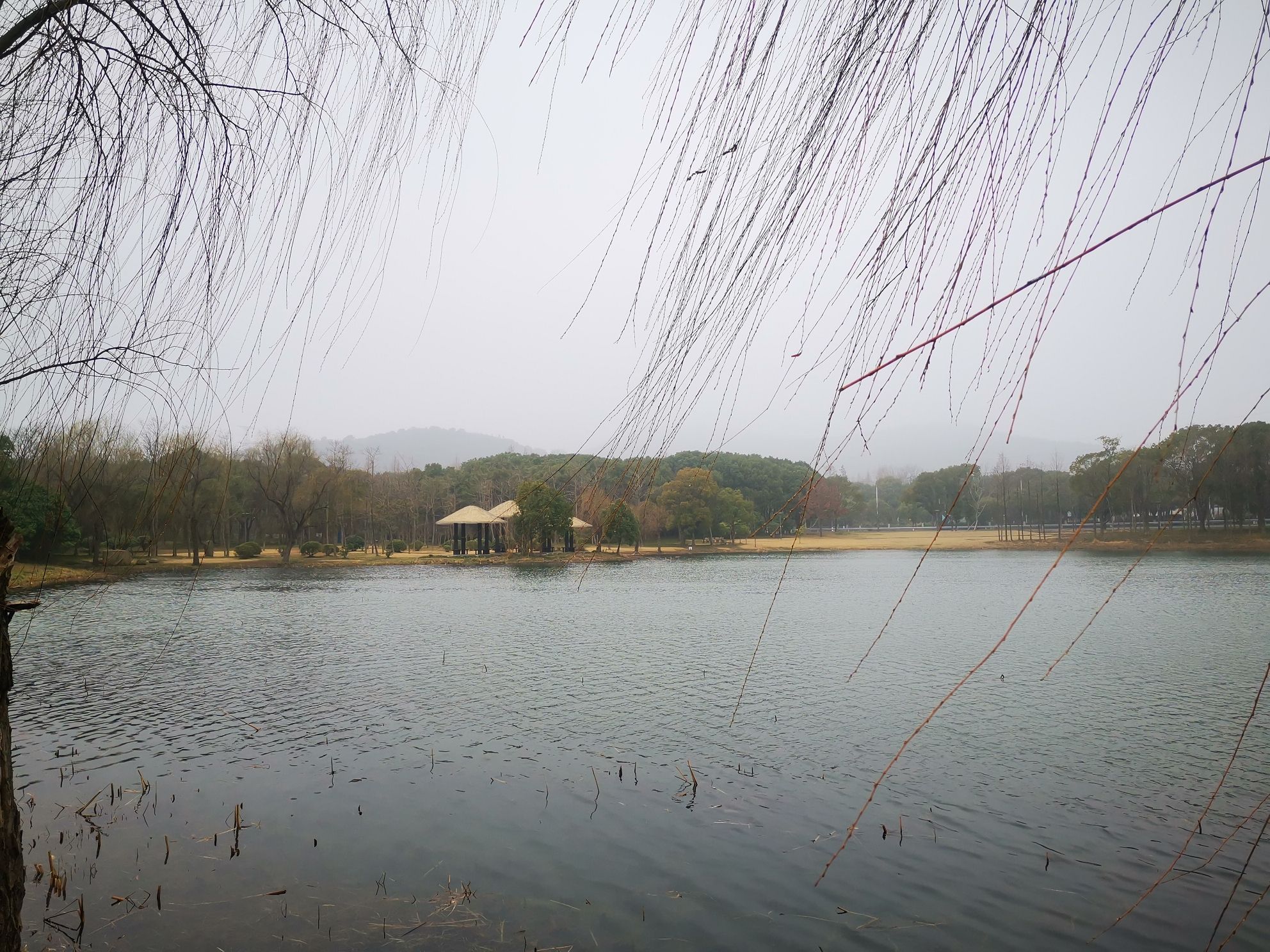 十八湾湿地公园旅行图片 3