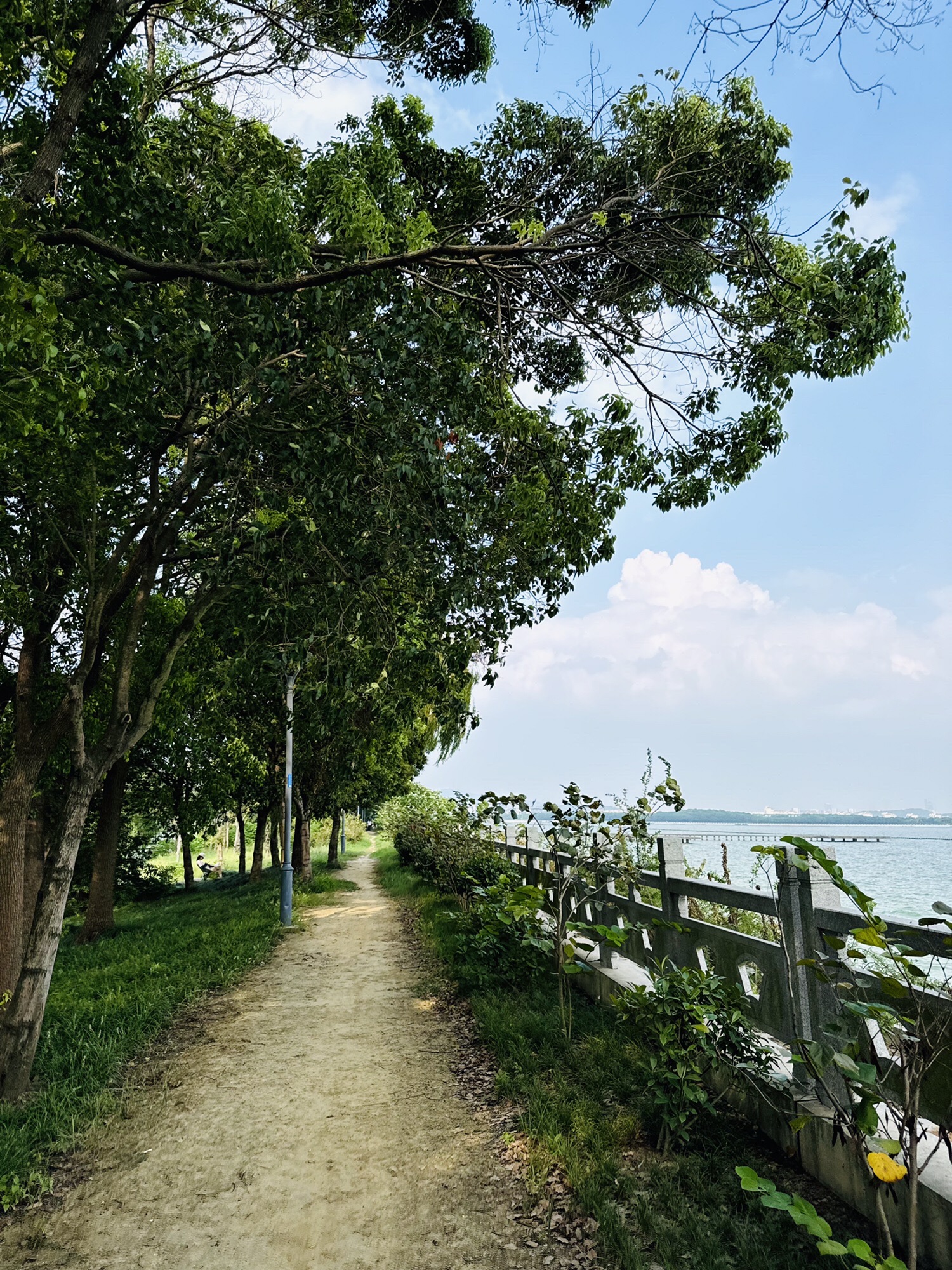 十八湾湿地公园旅行图片 1