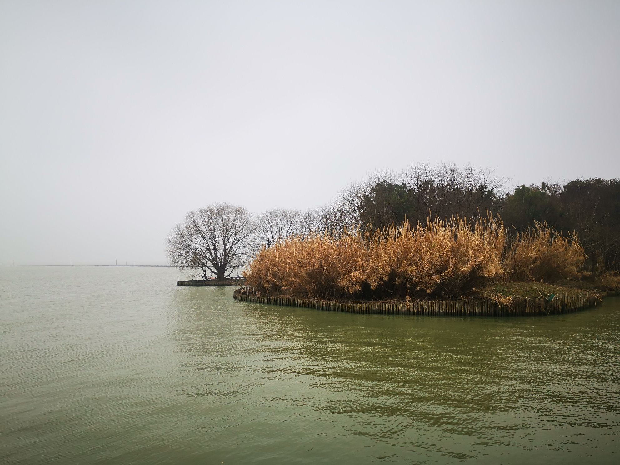 十八湾湿地公园旅行图片 2
