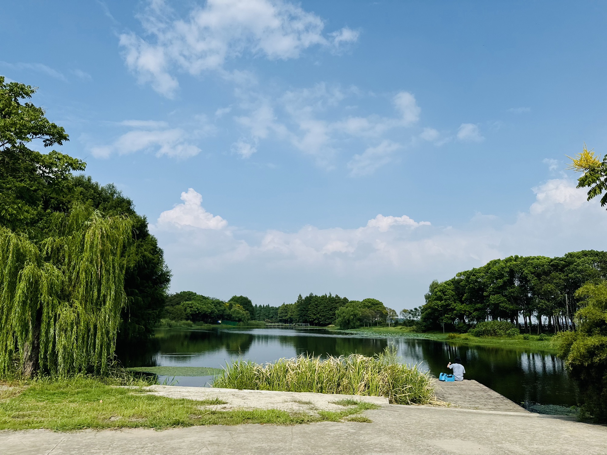 十八湾湿地公园旅行图片 3