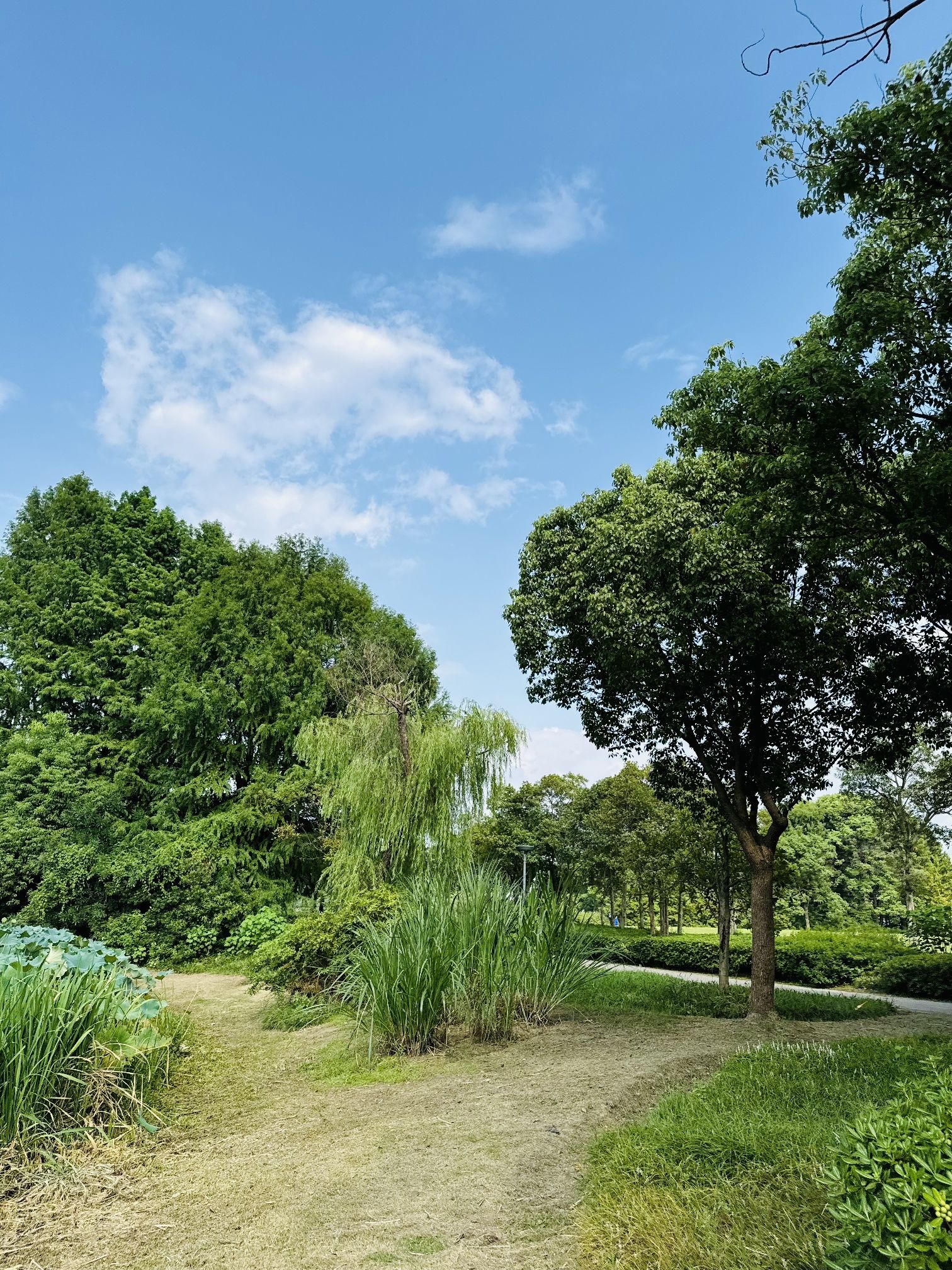 十八湾湿地公园旅行图片 2