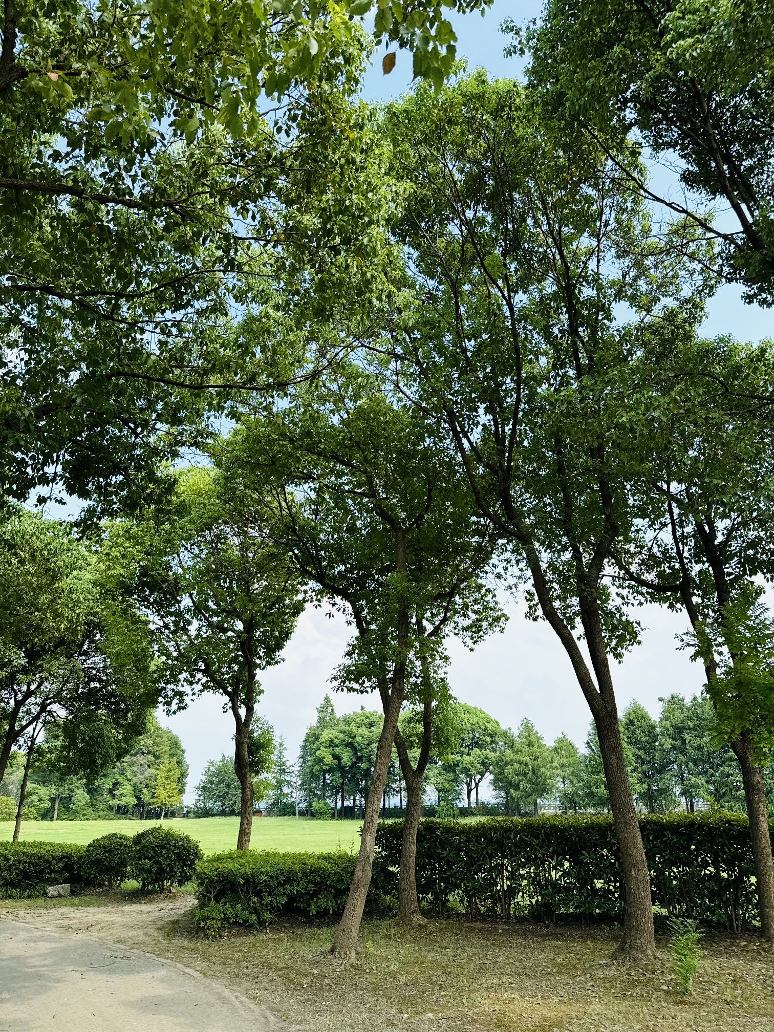 十八湾湿地公园旅行图片 3