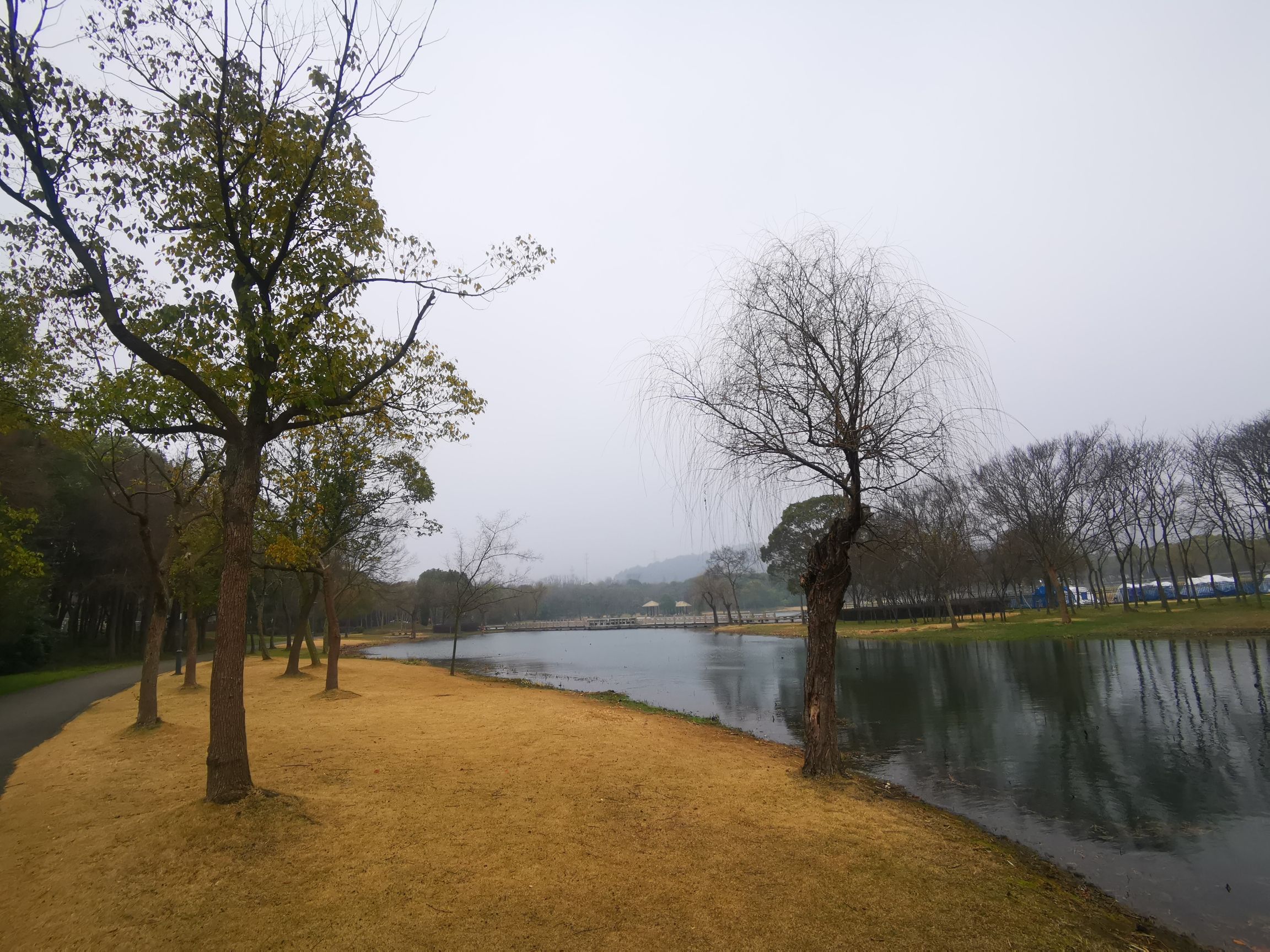 十八湾湿地公园旅行图片 1