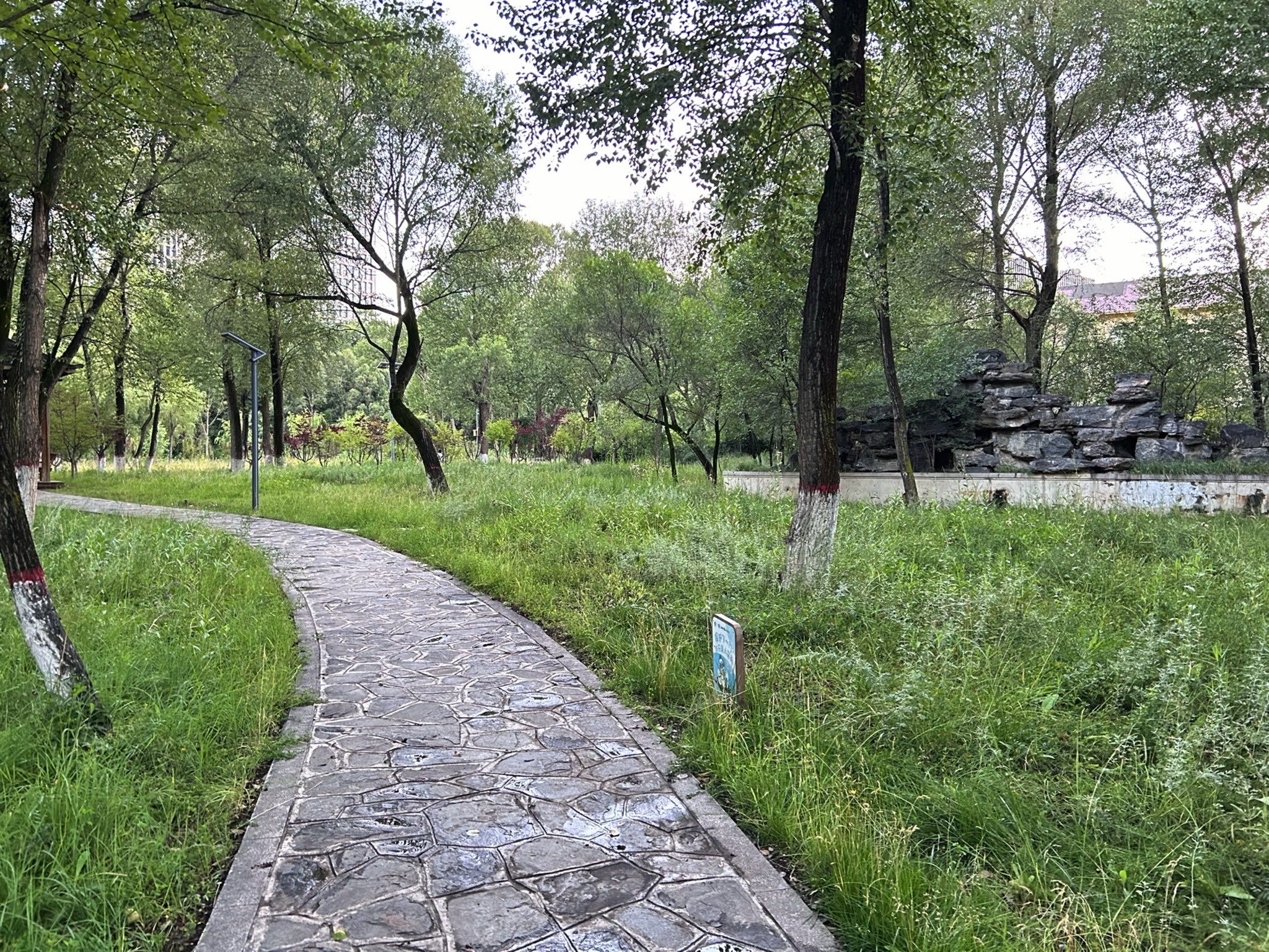 西宁湟水国家湿地公园