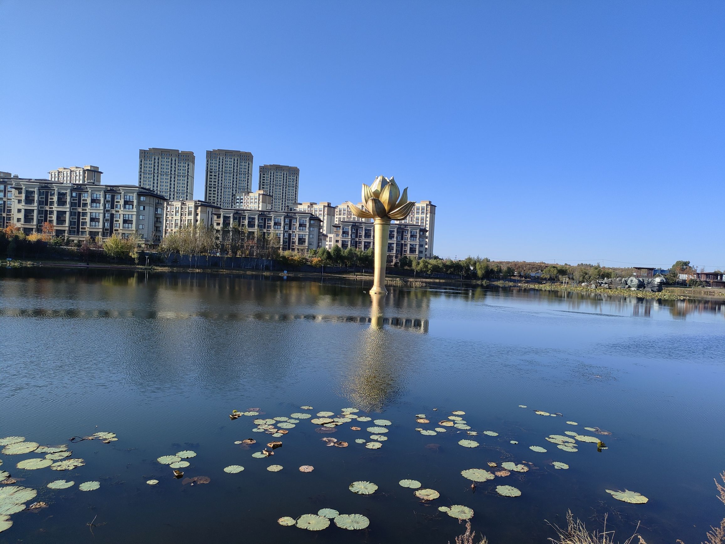凤栖湖公园旅行图片 3