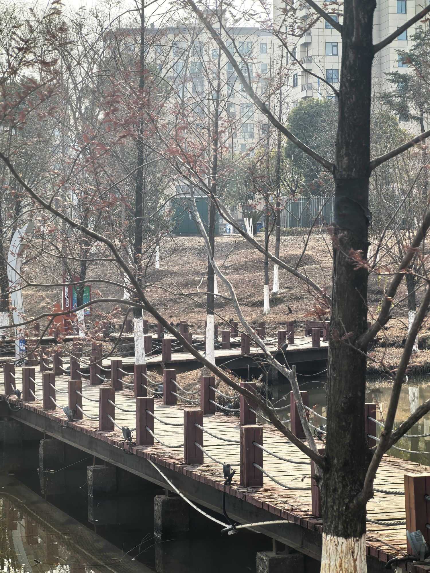 学士公园旅行图片 2