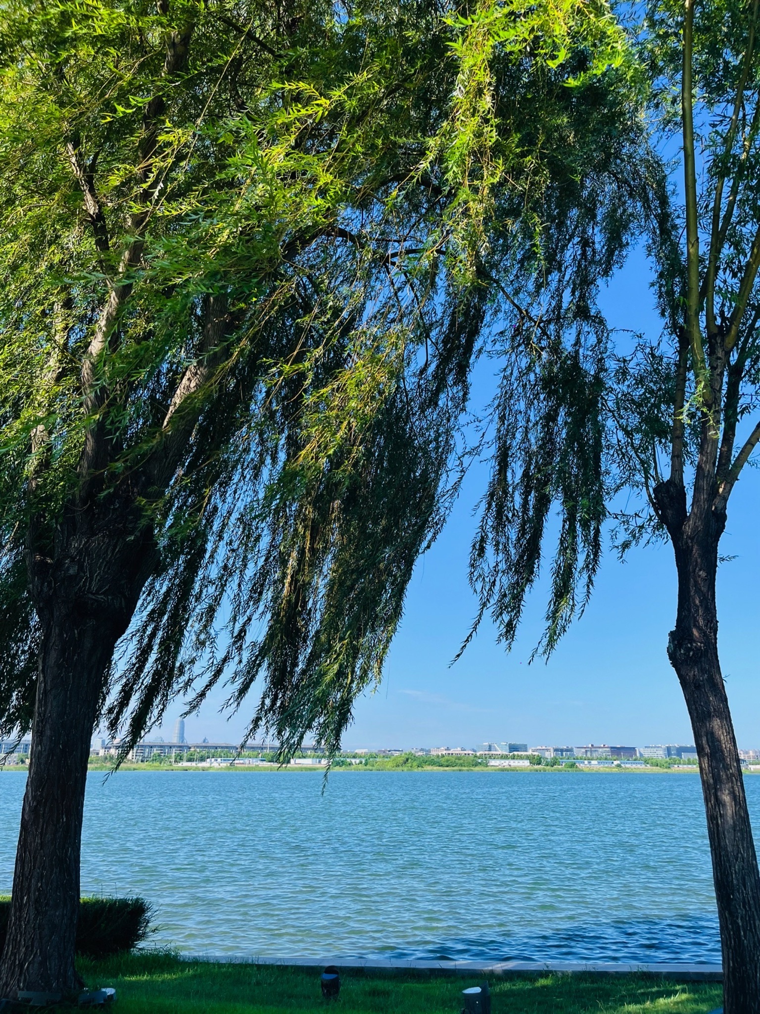 郑州龙湖湿地公园-东商业公园