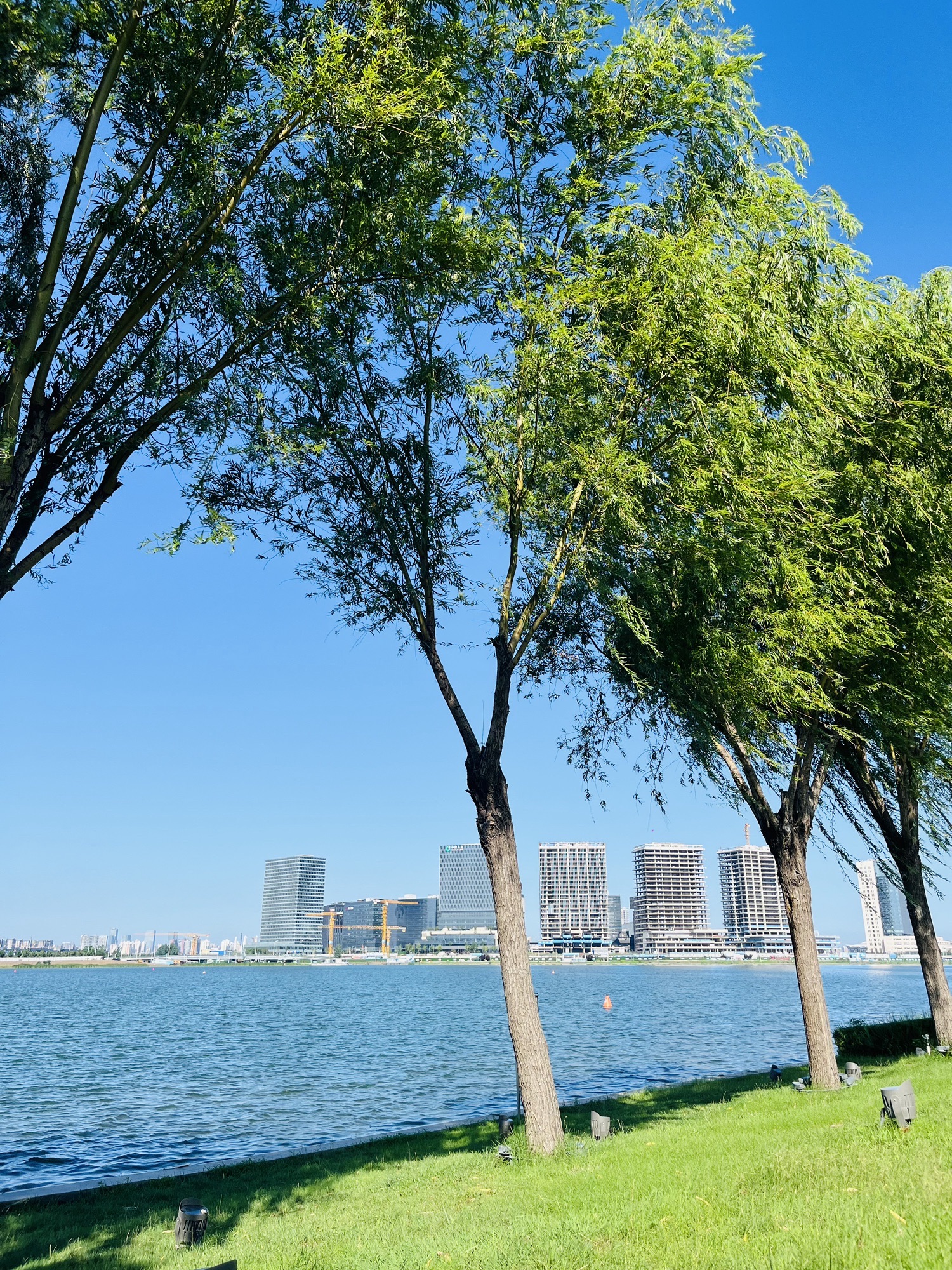 郑州龙湖湿地公园-东商业公园