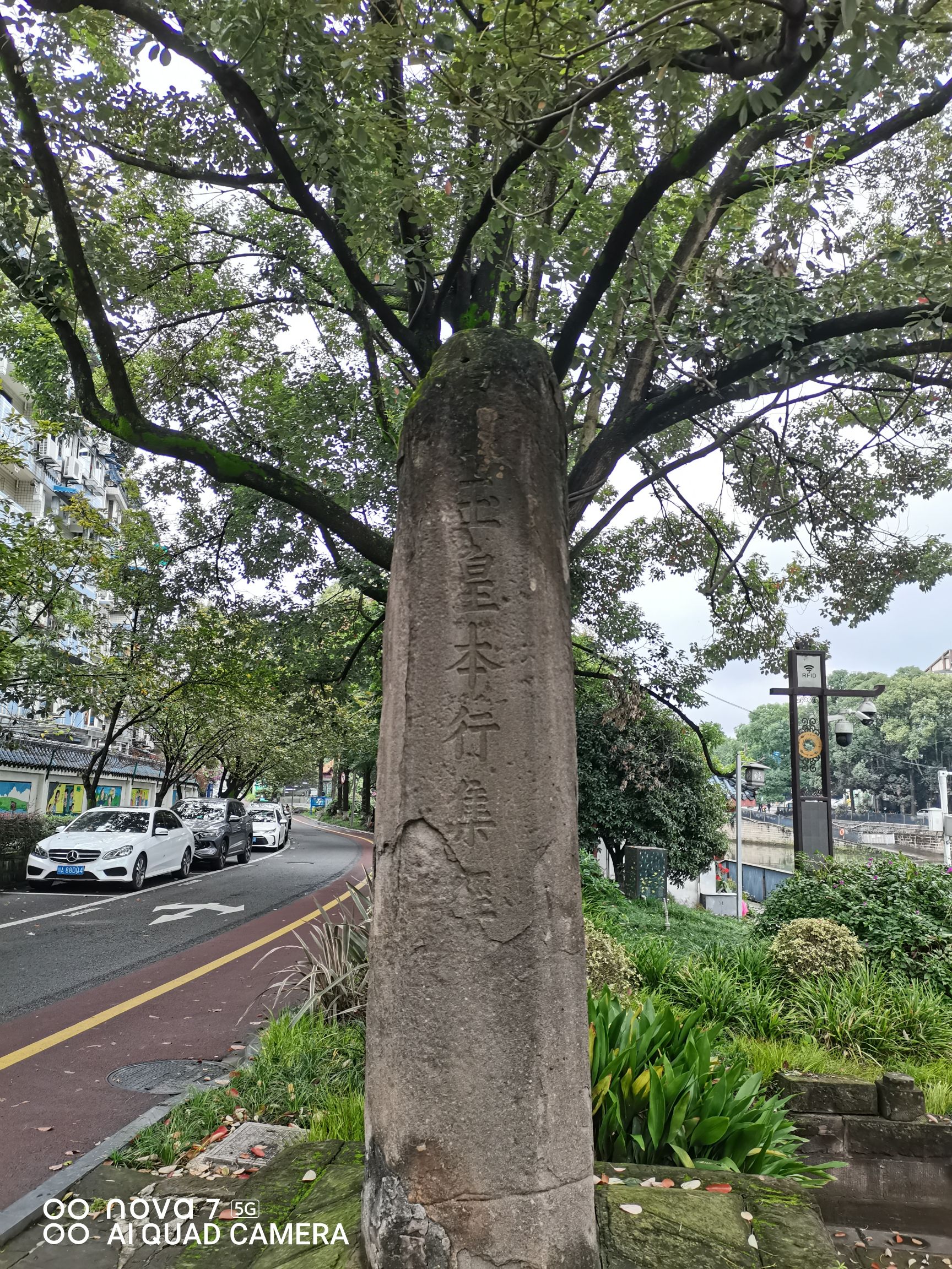 北斗七星柱旅行图片 3