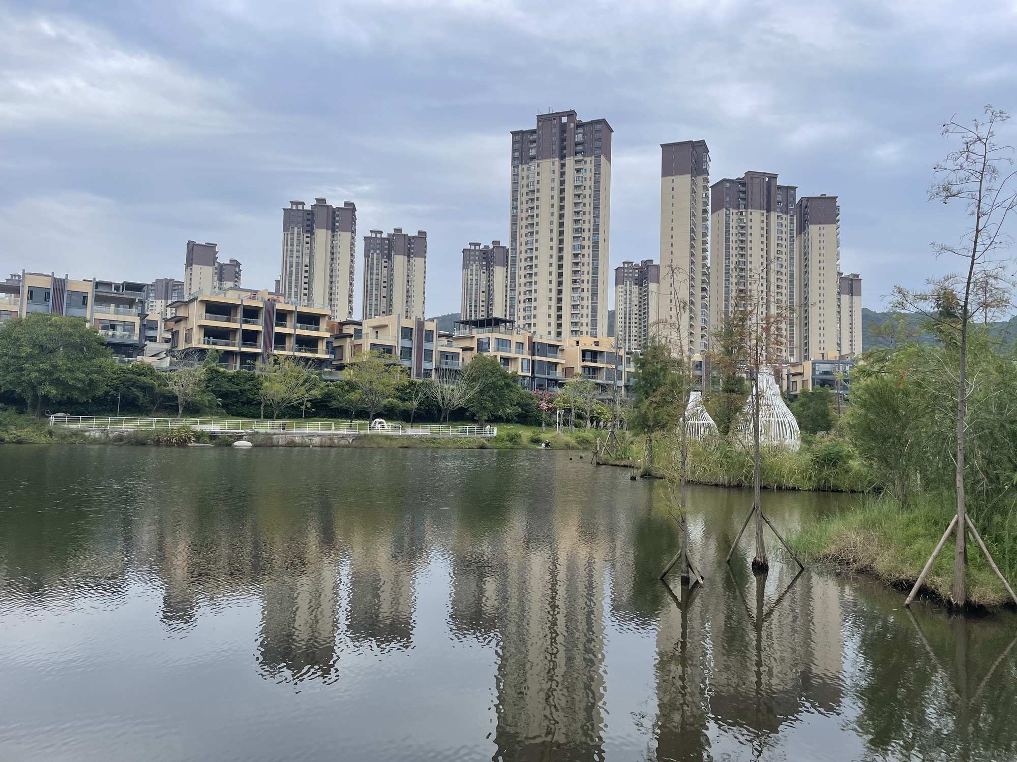 碧桂园润杨溪谷水杉湿地公园(不对开放)旅行图片 1