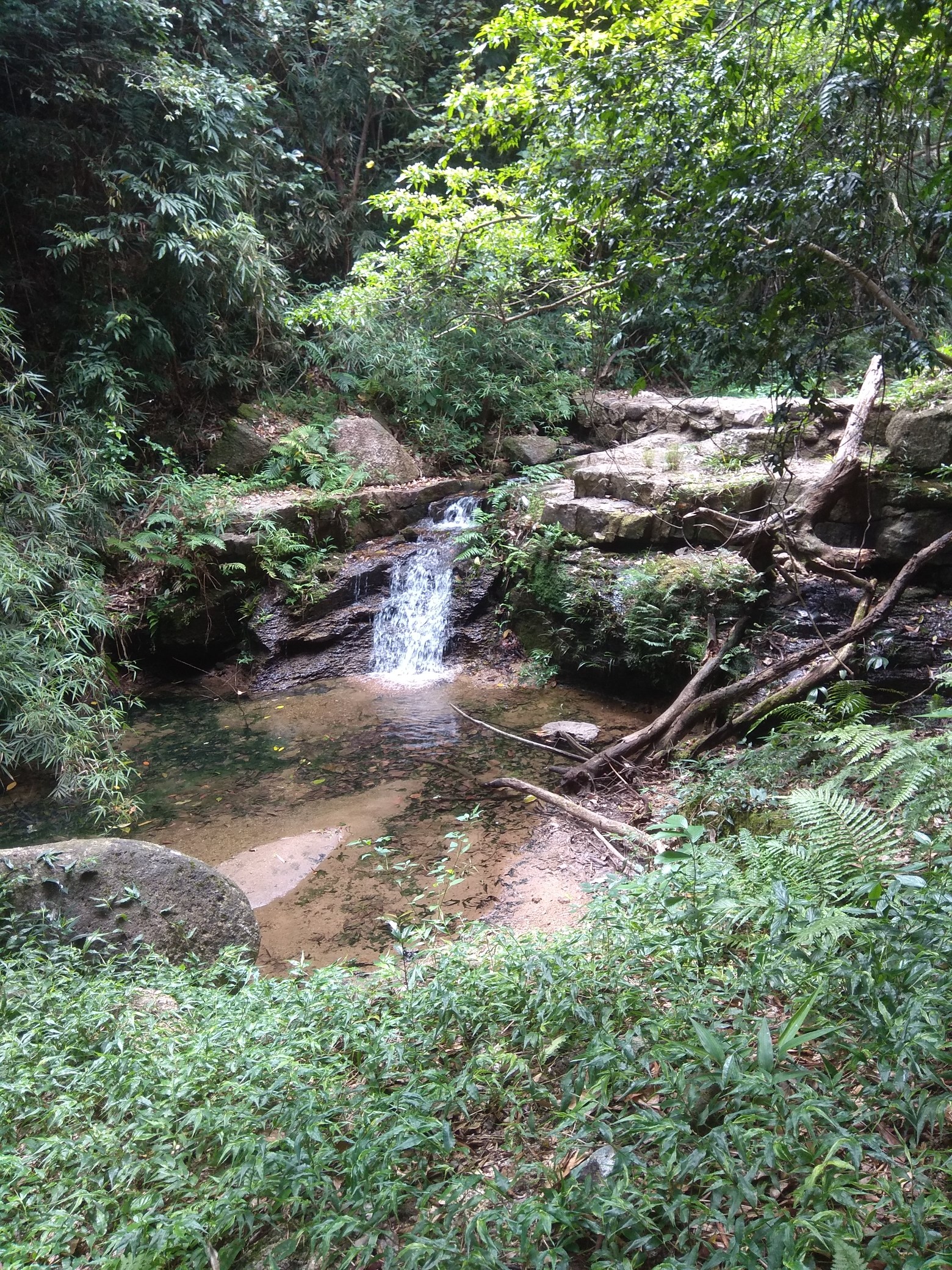 鹅凰嶂风景区旅行图片 1