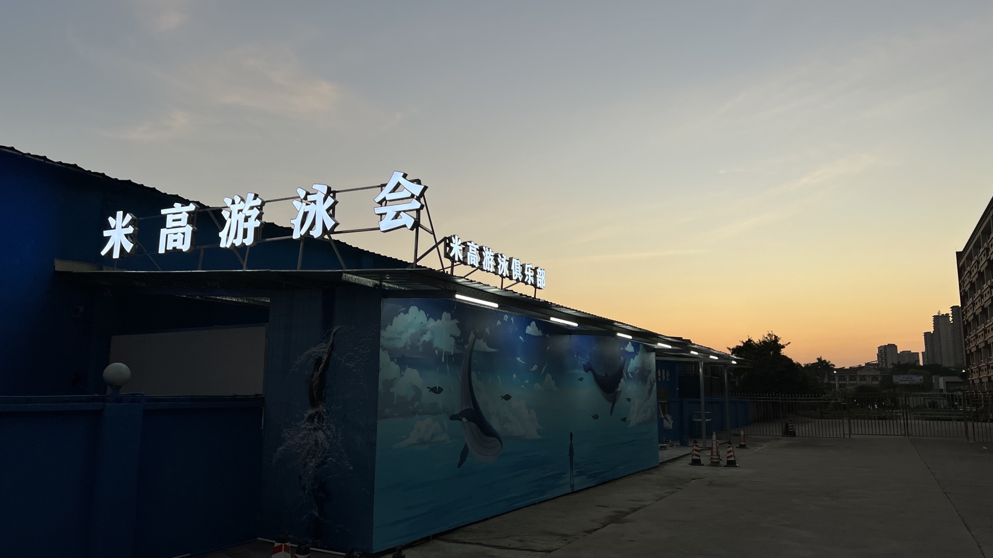 米高体育会