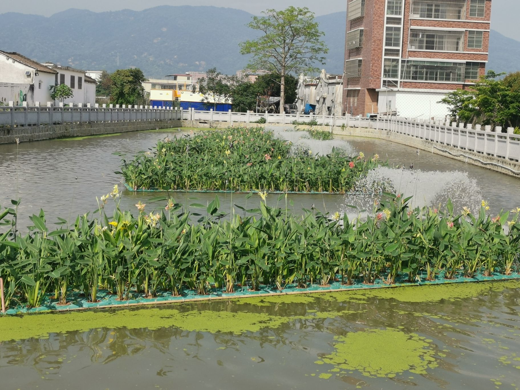 上坛湿地公园旅行图片 2