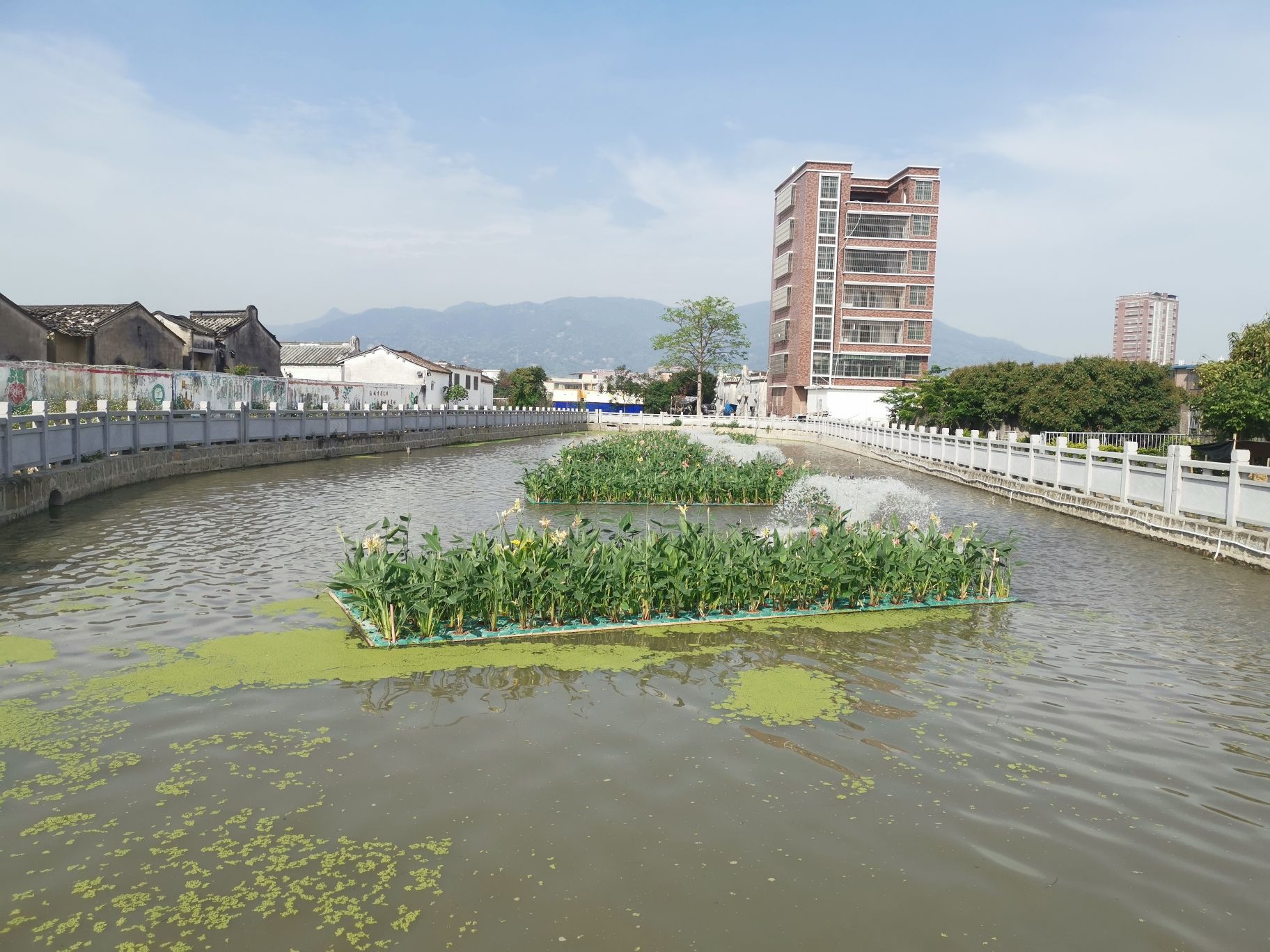 上坛湿地公园旅行图片 1