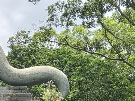 火山口国家地质公园-趣味岩石环廊
