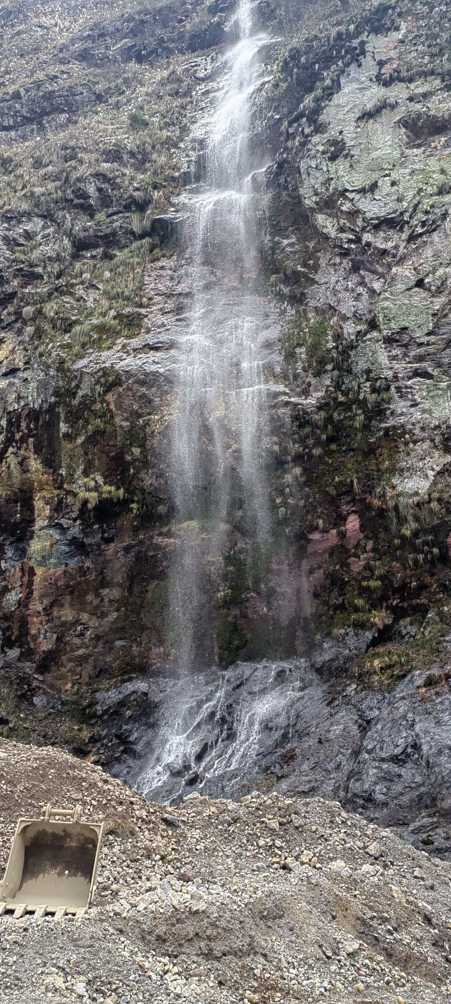 茶花溪景区旅行图片 1