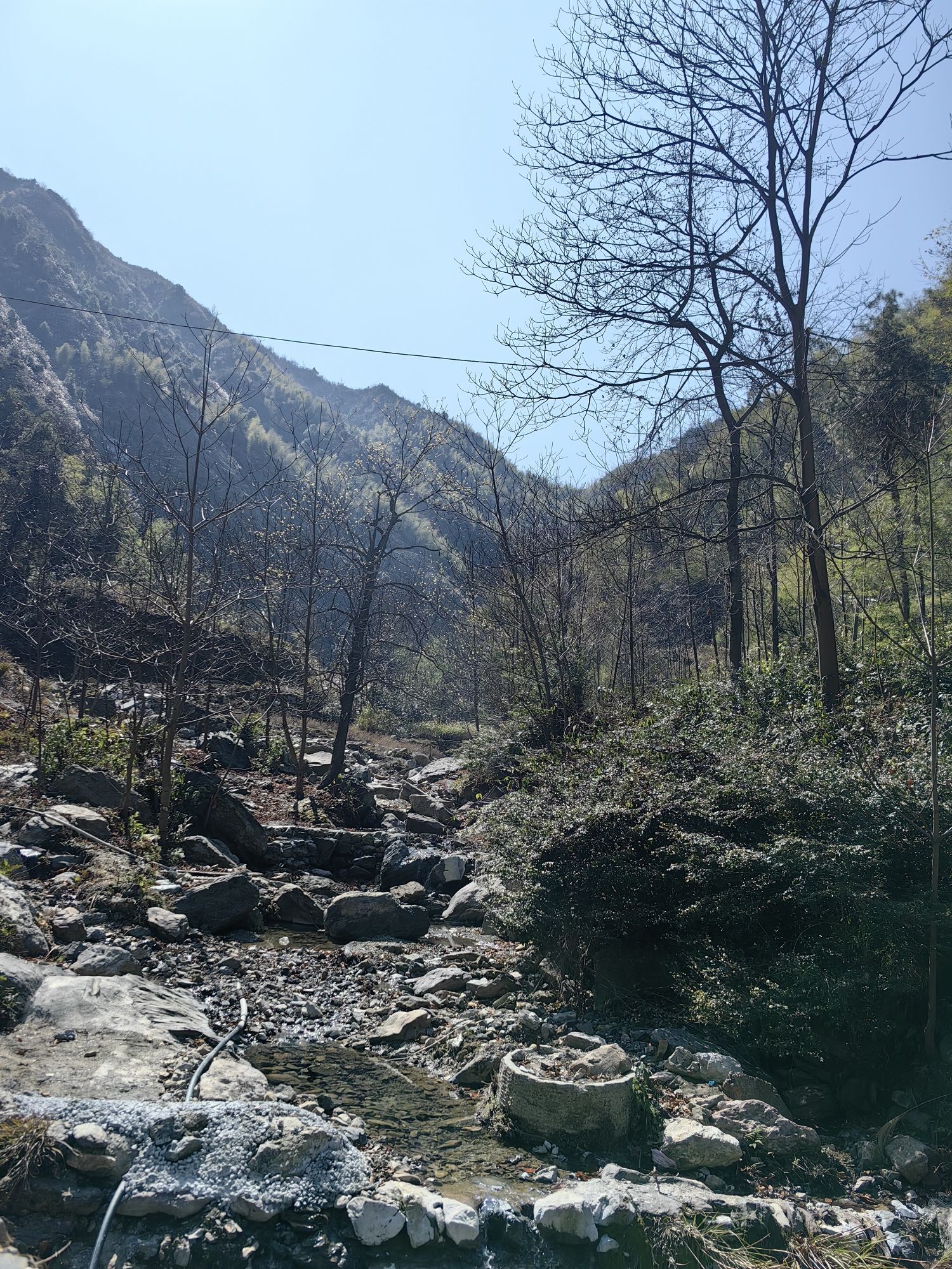 茶花溪景区旅行图片 1
