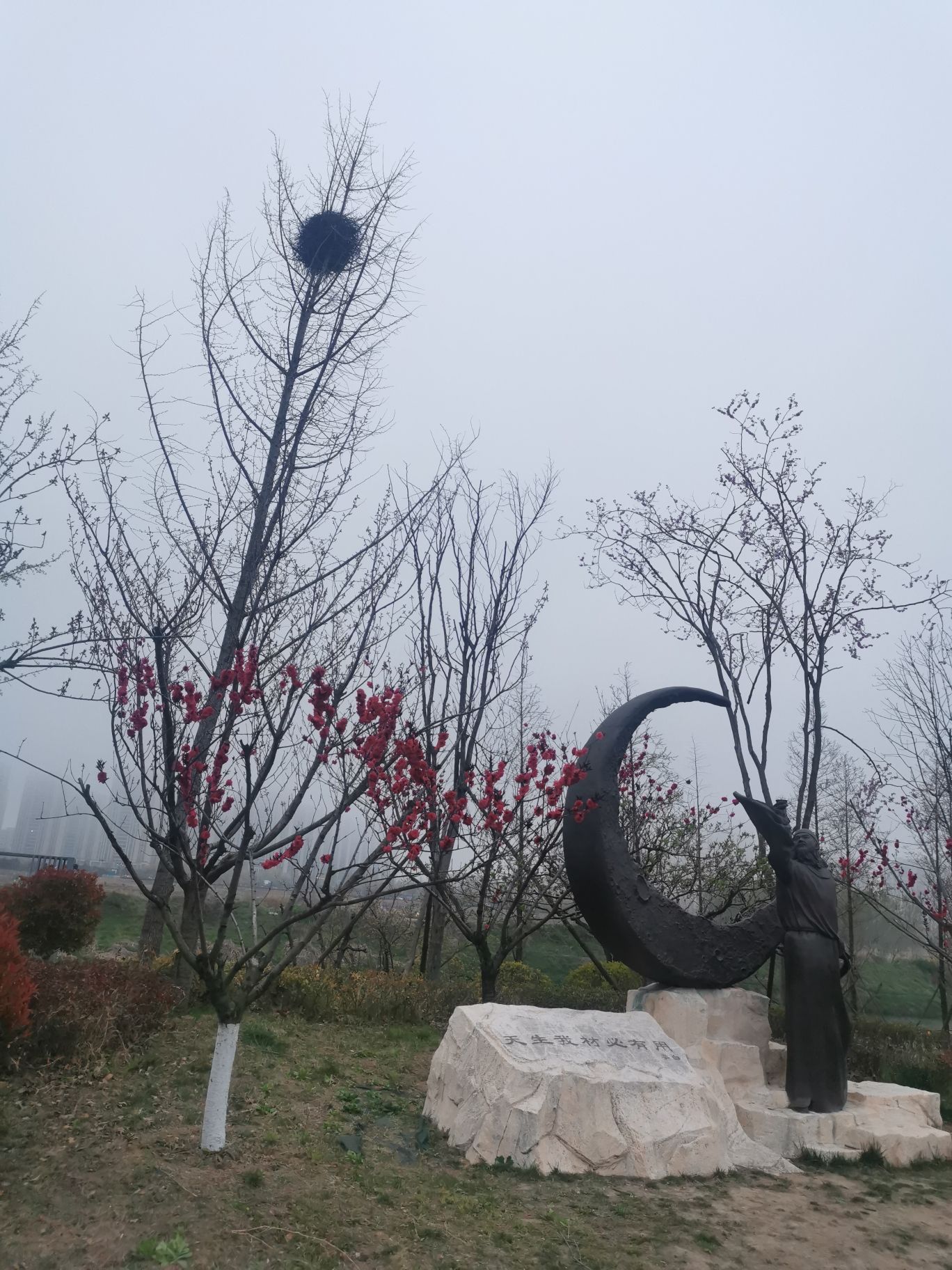 日照市人才公园旅行图片 3