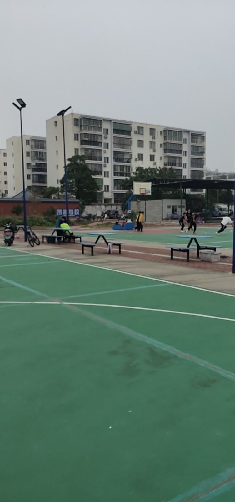 和兴体育公园旅行图片 2
