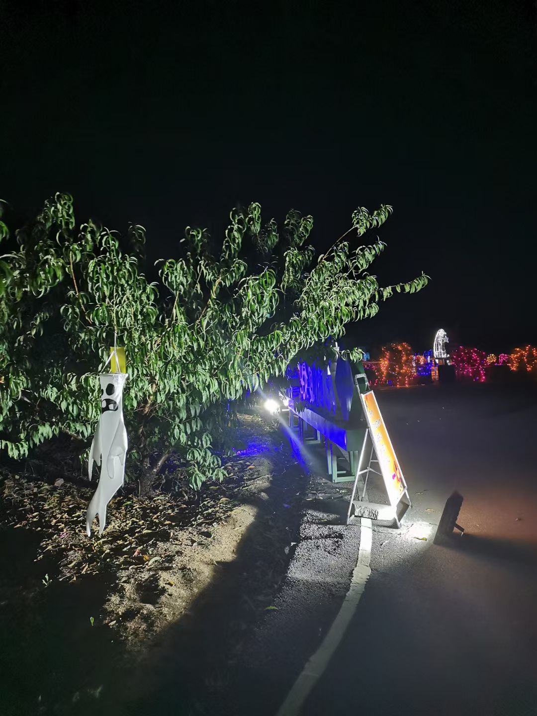 天香湾景区旅行图片 3