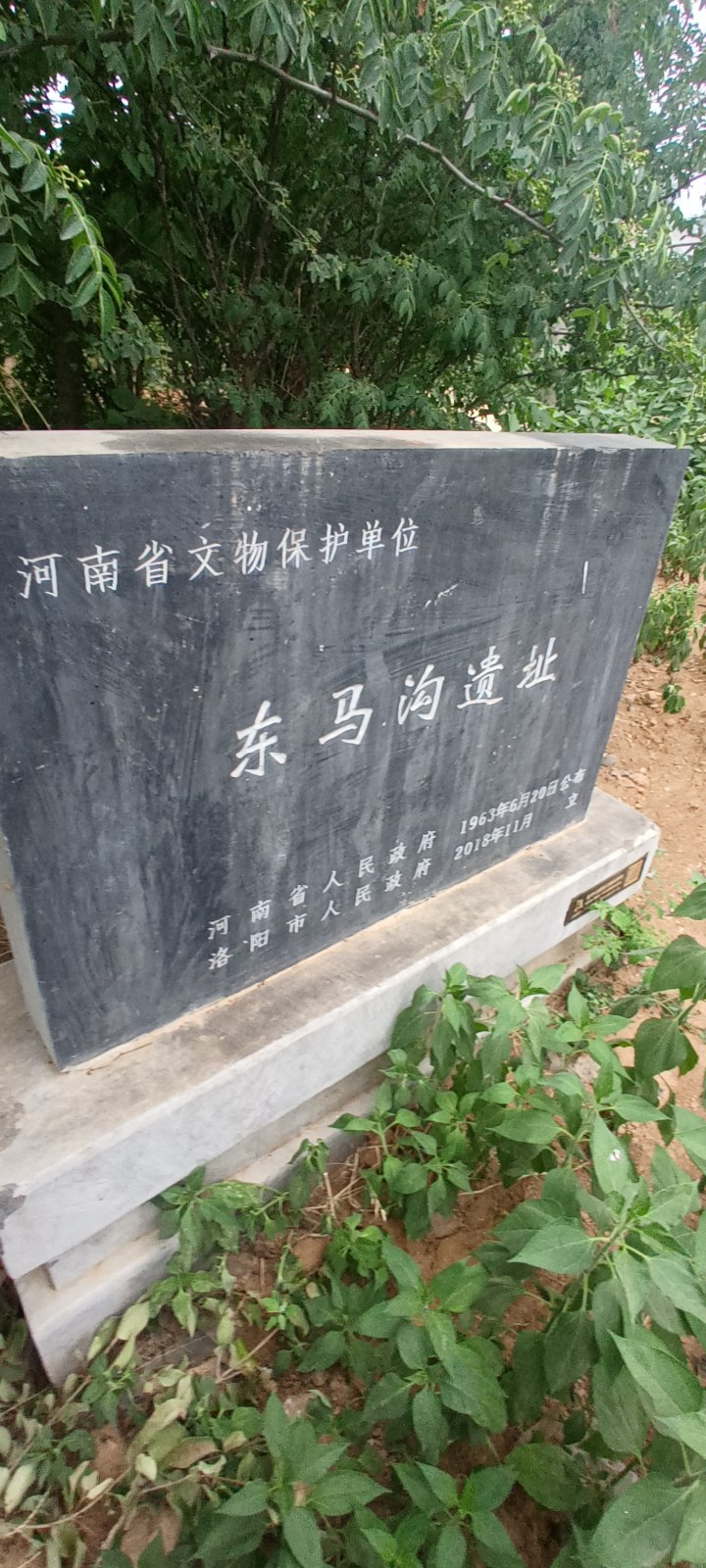 东马沟遗址旅行图片 1