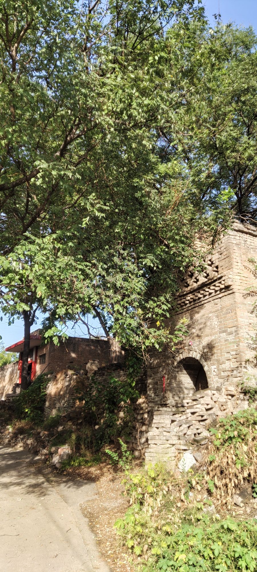 霍州窑址博物馆(建设中)旅行图片 2