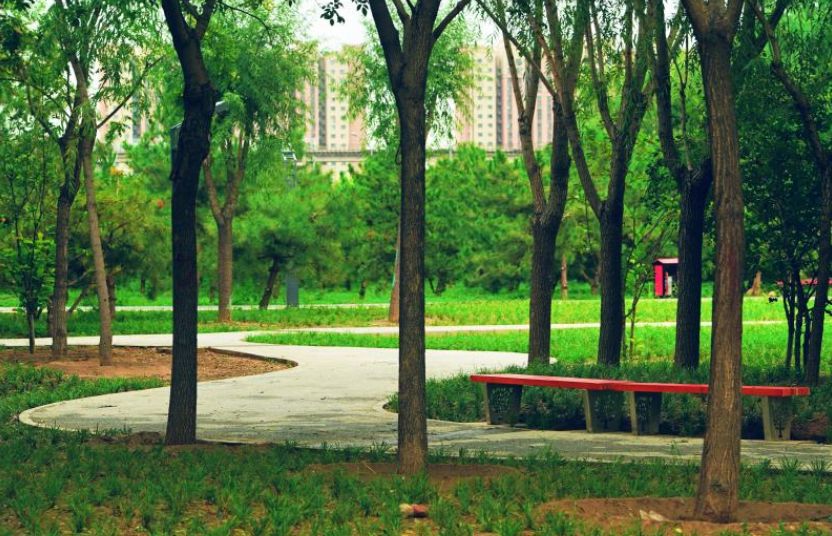 小公园旅行图片 2