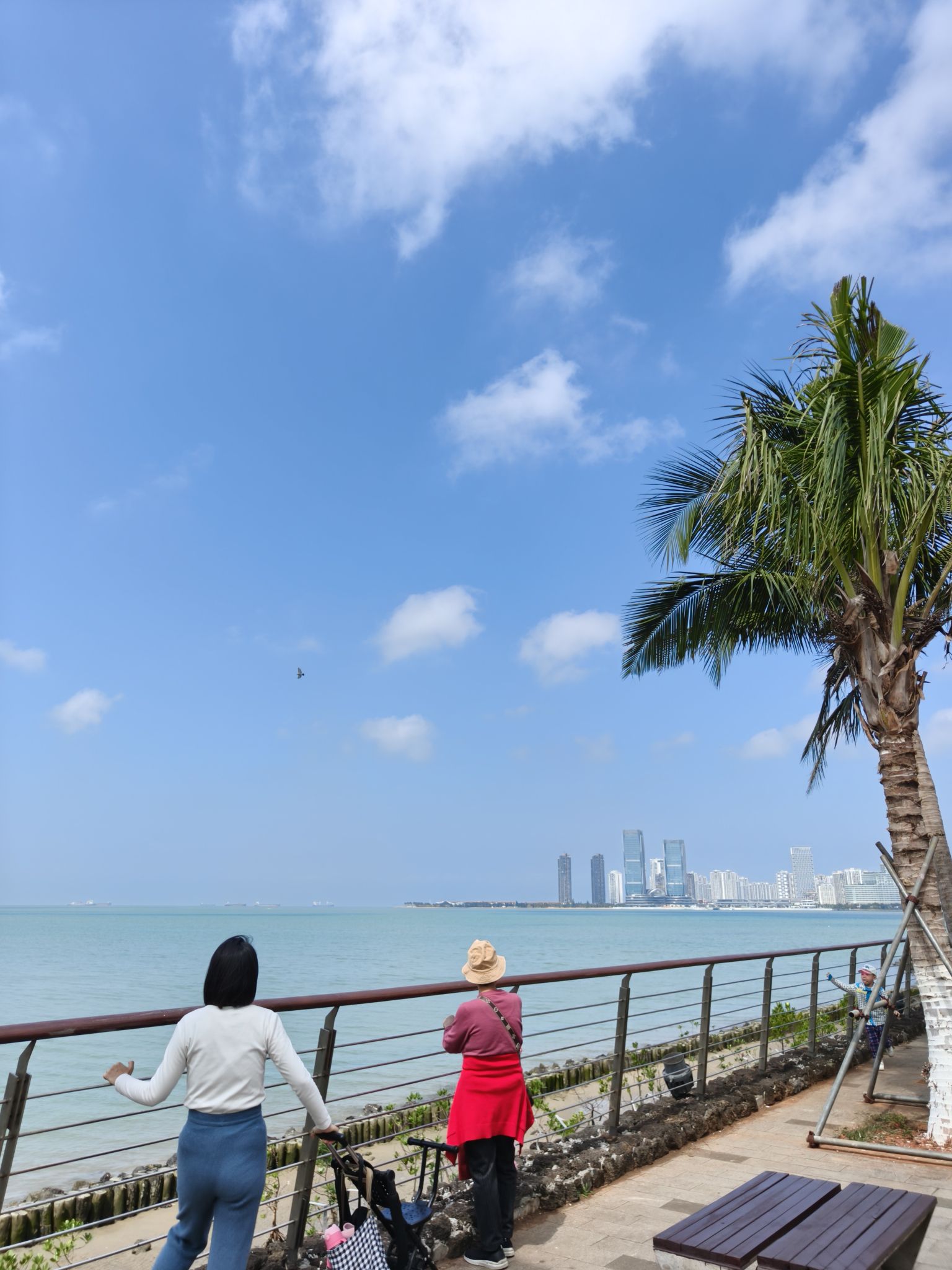 椰林听涛