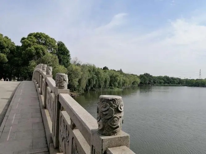 永平湿地公园旅行图片 3