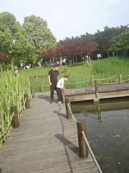 永平湿地公园旅行图片 2