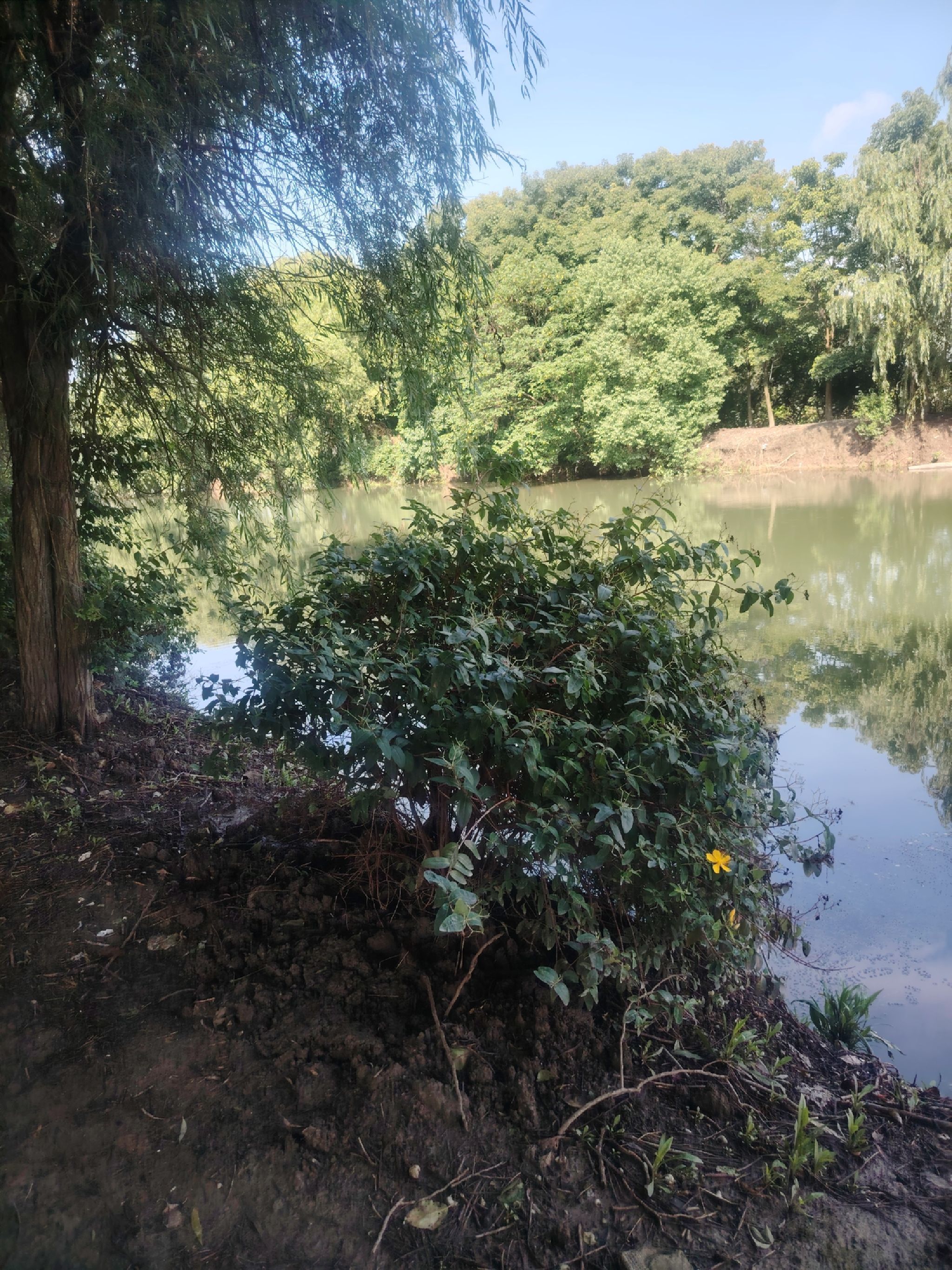 永平湿地公园旅行图片 1