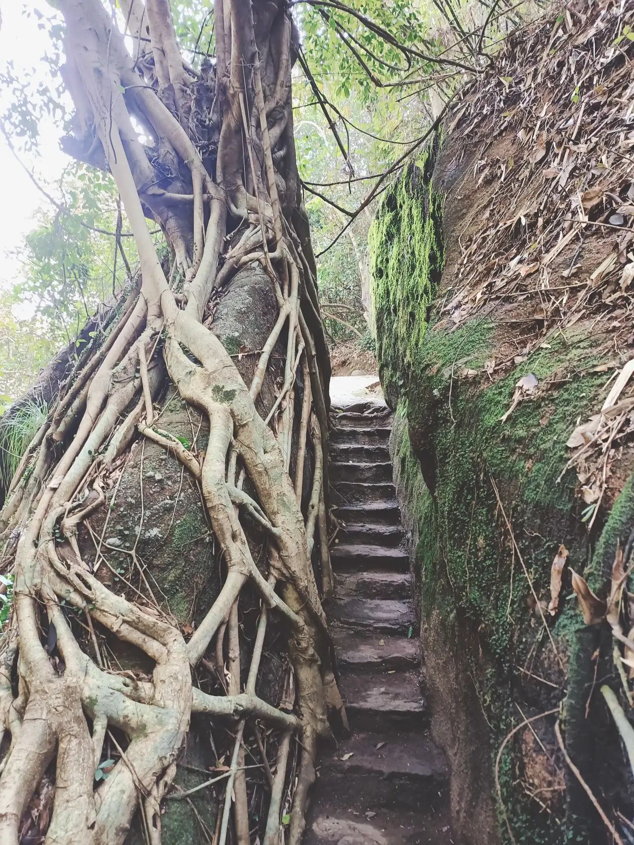 石表山休闲旅游风景区石龙大峡谷