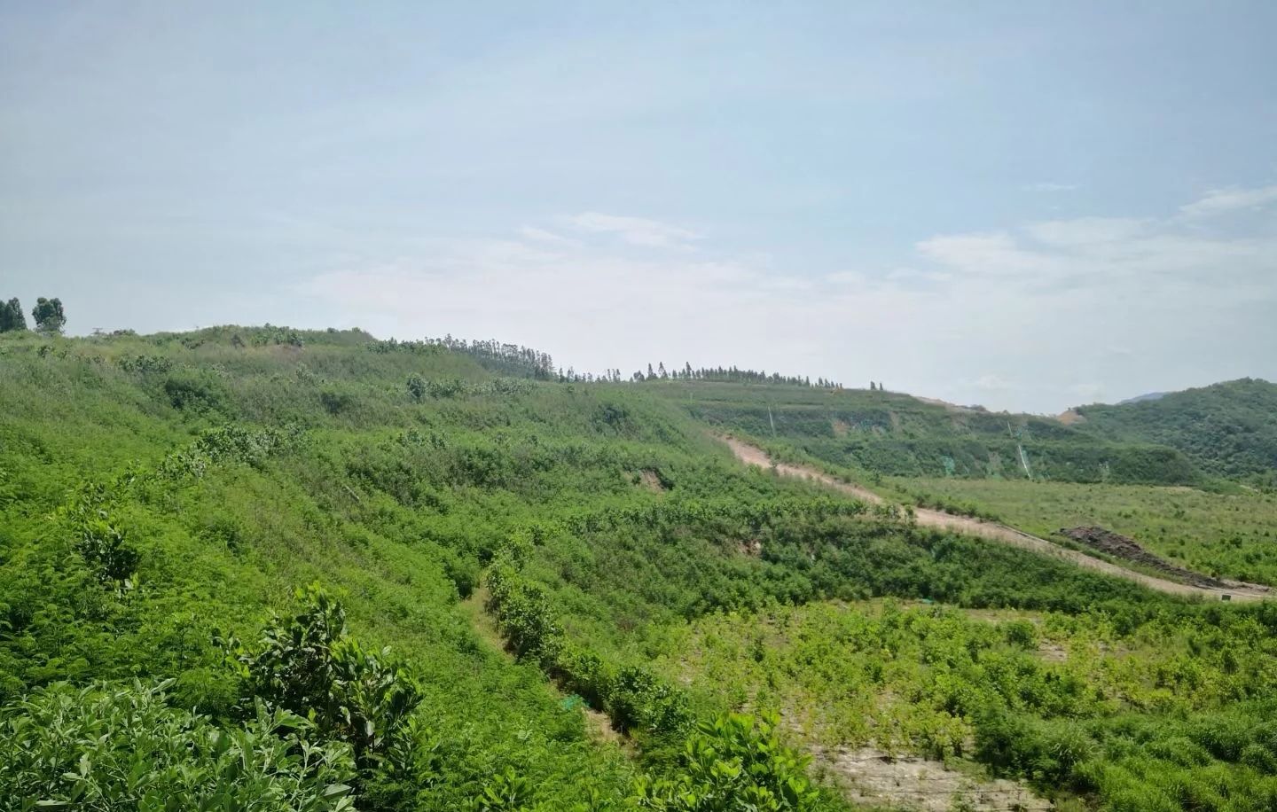 九龙山矿山生态修复公园旅行图片