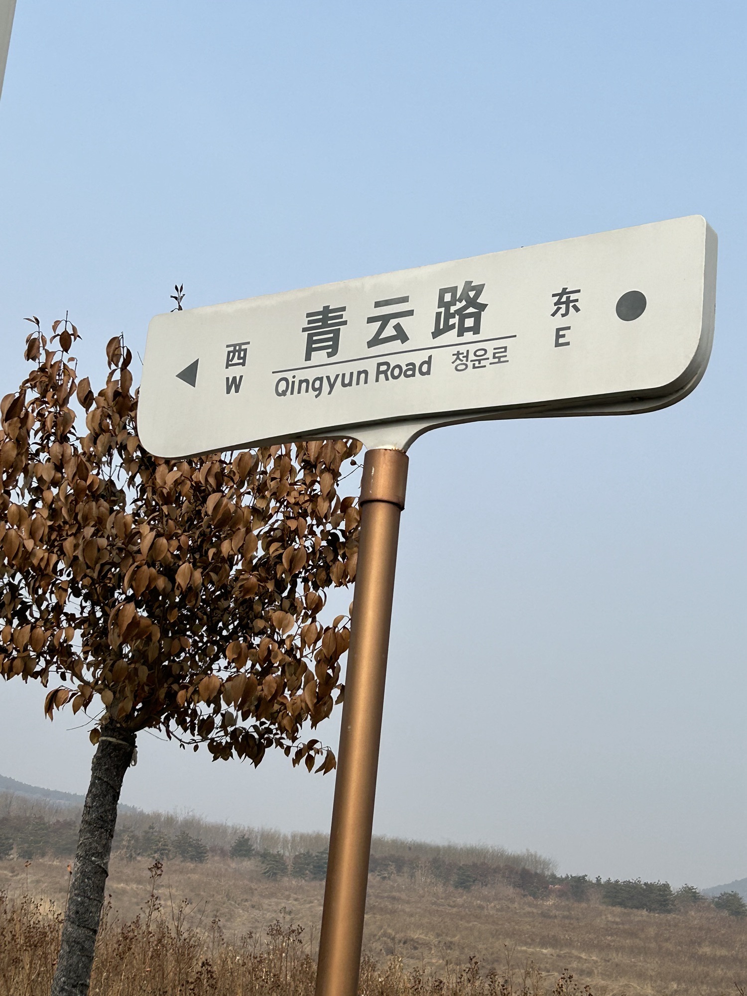 九龙山矿山生态修复公园旅行图片 2